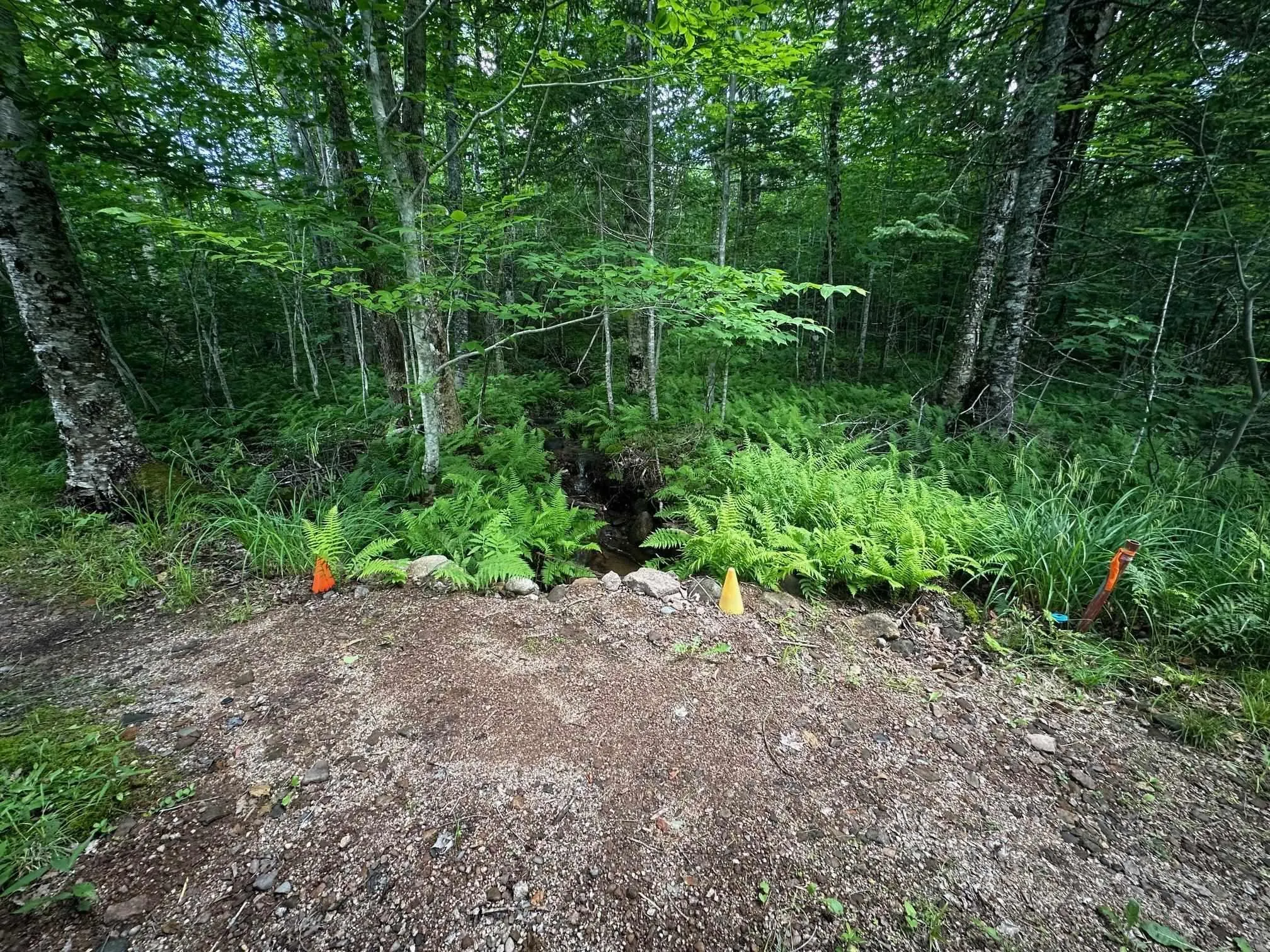 50 Hide Away Lane, Crossburn Ns B0p 1c0, 2 Bedrooms Bedrooms, ,1 BathroomBathrooms,Residential,For Sale,Hide Away,202510646