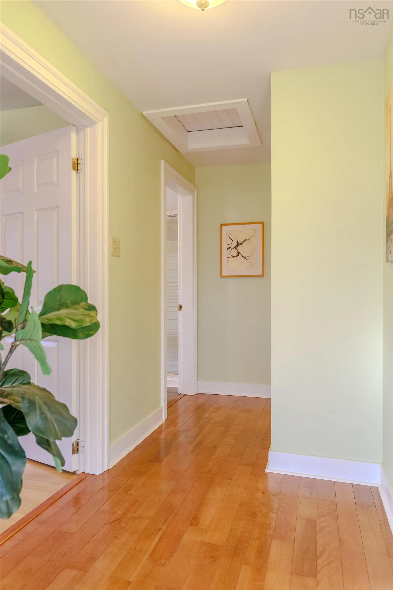 43 Frederick Avenue, Halifax, NS B3N 2K5, 3 Bedrooms Bedrooms, ,2 BathroomsBathrooms,Residential,For Sale,Frederick,202521746