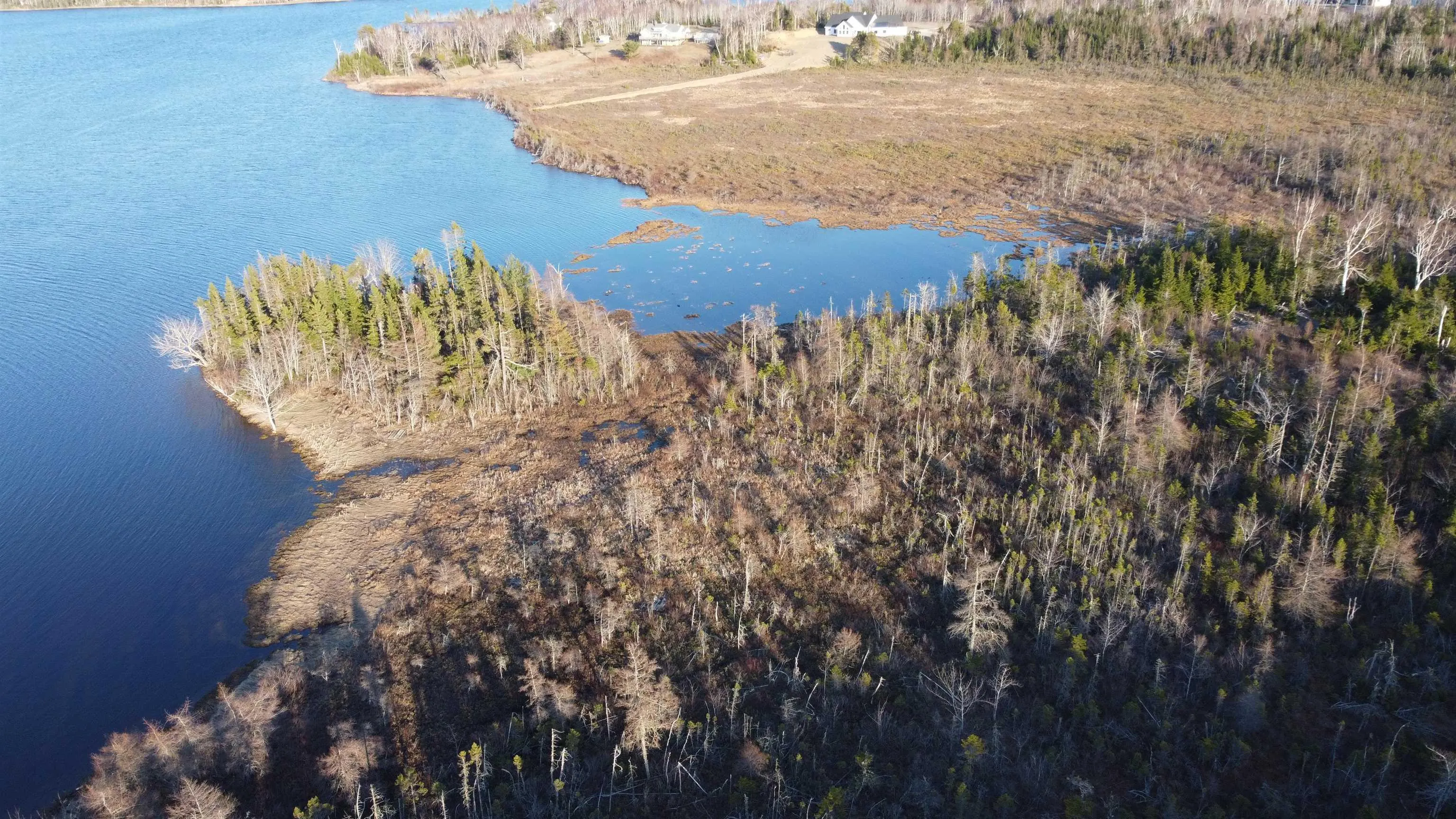 Shieling Drive Lot 22, Marion Bridge Ns B1k 0b3, ,Land,For Sale,Shieling,202424581