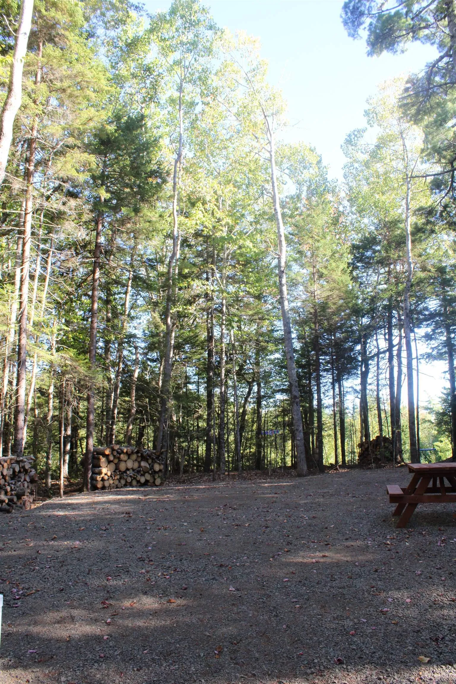107 South Wrights Lake Road, Weymouth Mills, NS B0W 3T0, ,Land,For Sale,South Wrights Lake,202523684