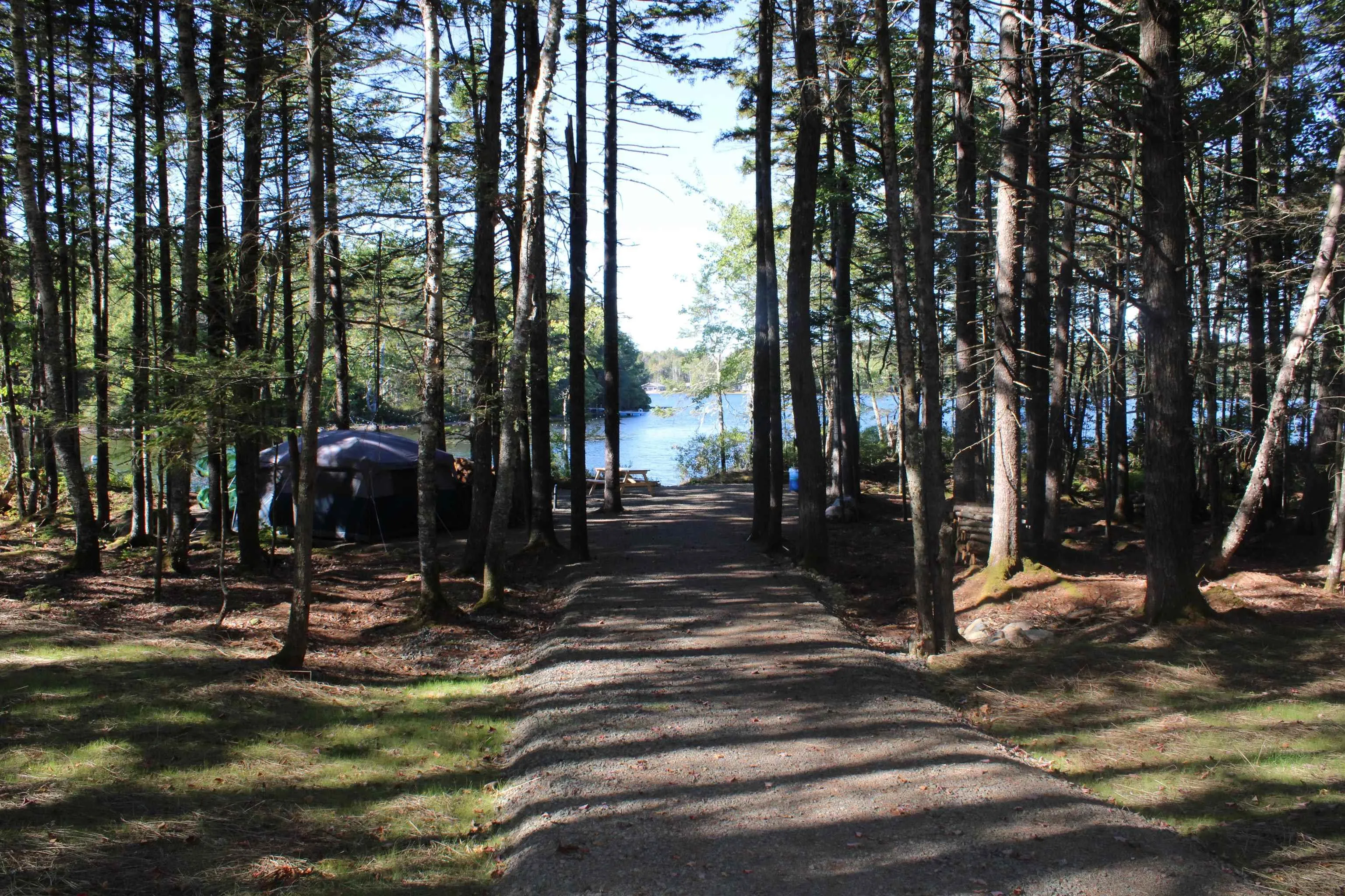 107 South Wrights Lake Road, Weymouth Mills, NS B0W 3T0, ,Land,For Sale,South Wrights Lake,202523684