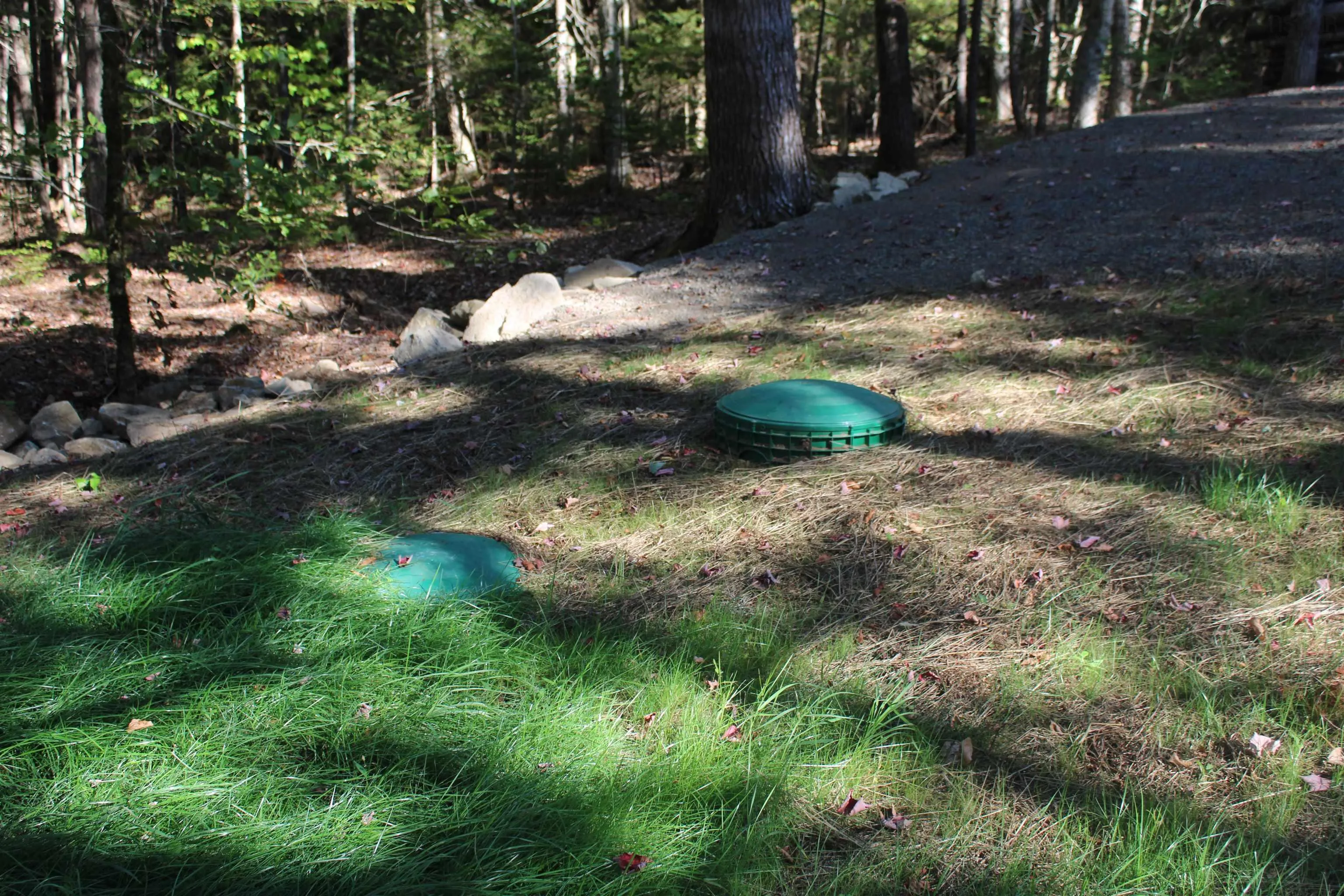 107 South Wrights Lake Road, Weymouth Mills, NS B0W 3T0, ,Land,For Sale,South Wrights Lake,202523684