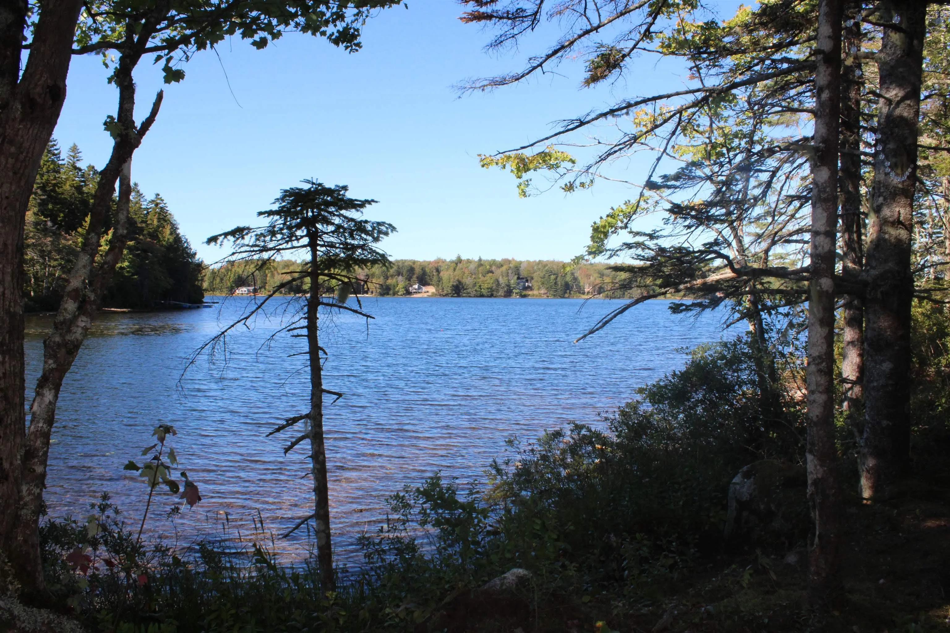 107 South Wrights Lake Road, Weymouth Mills, NS B0W 3T0, ,Land,For Sale,South Wrights Lake,202523684