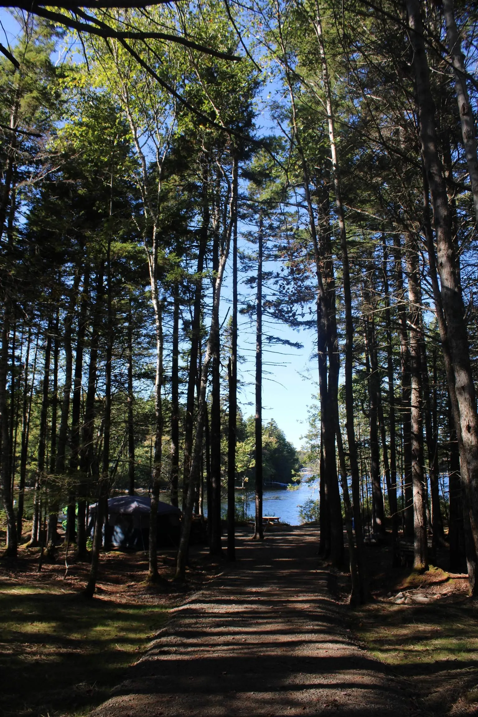 107 South Wrights Lake Road, Weymouth Mills, NS B0W 3T0, ,Land,For Sale,South Wrights Lake,202523684