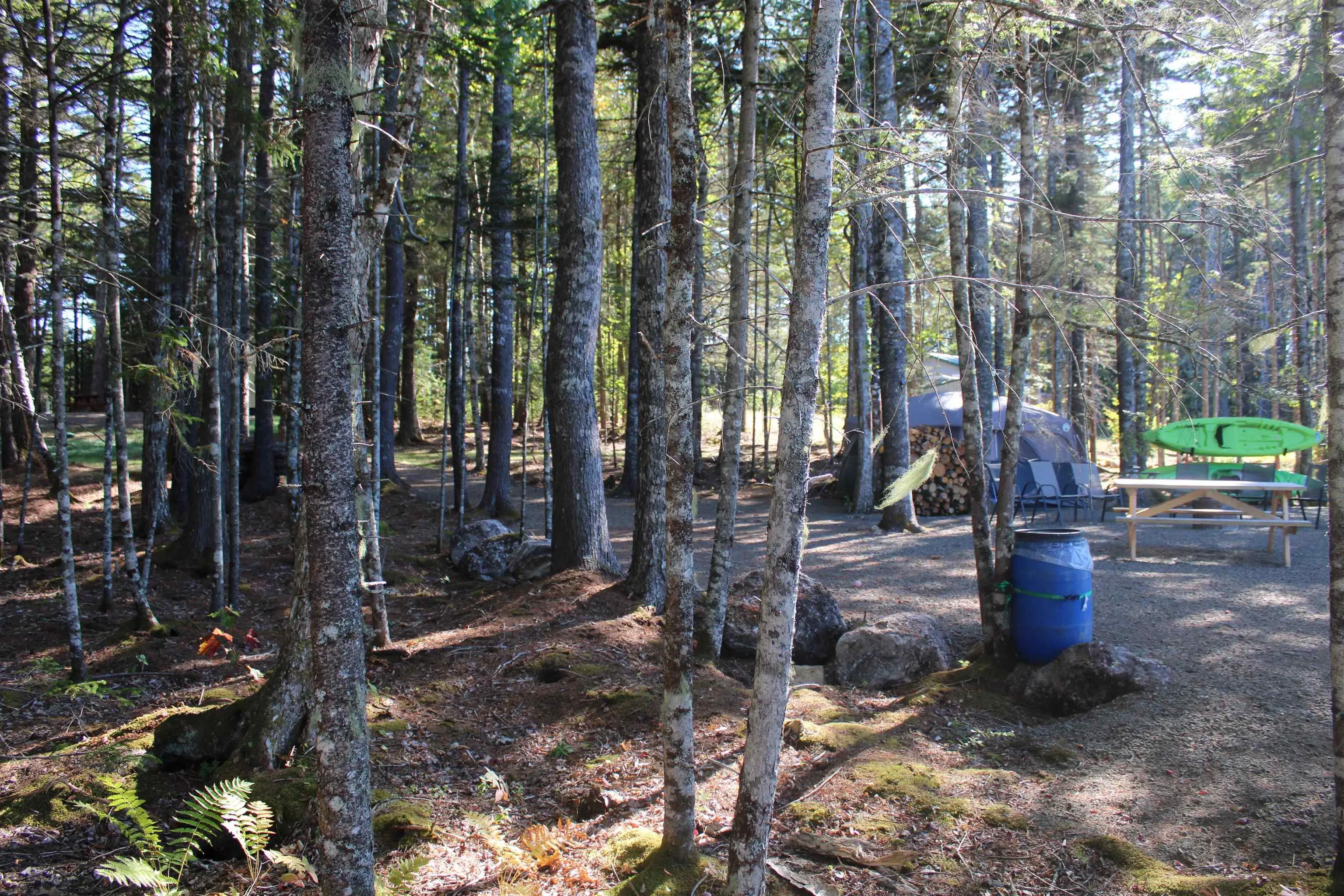 107 South Wrights Lake Road, Weymouth Mills, NS B0W 3T0, ,Land,For Sale,South Wrights Lake,202523684