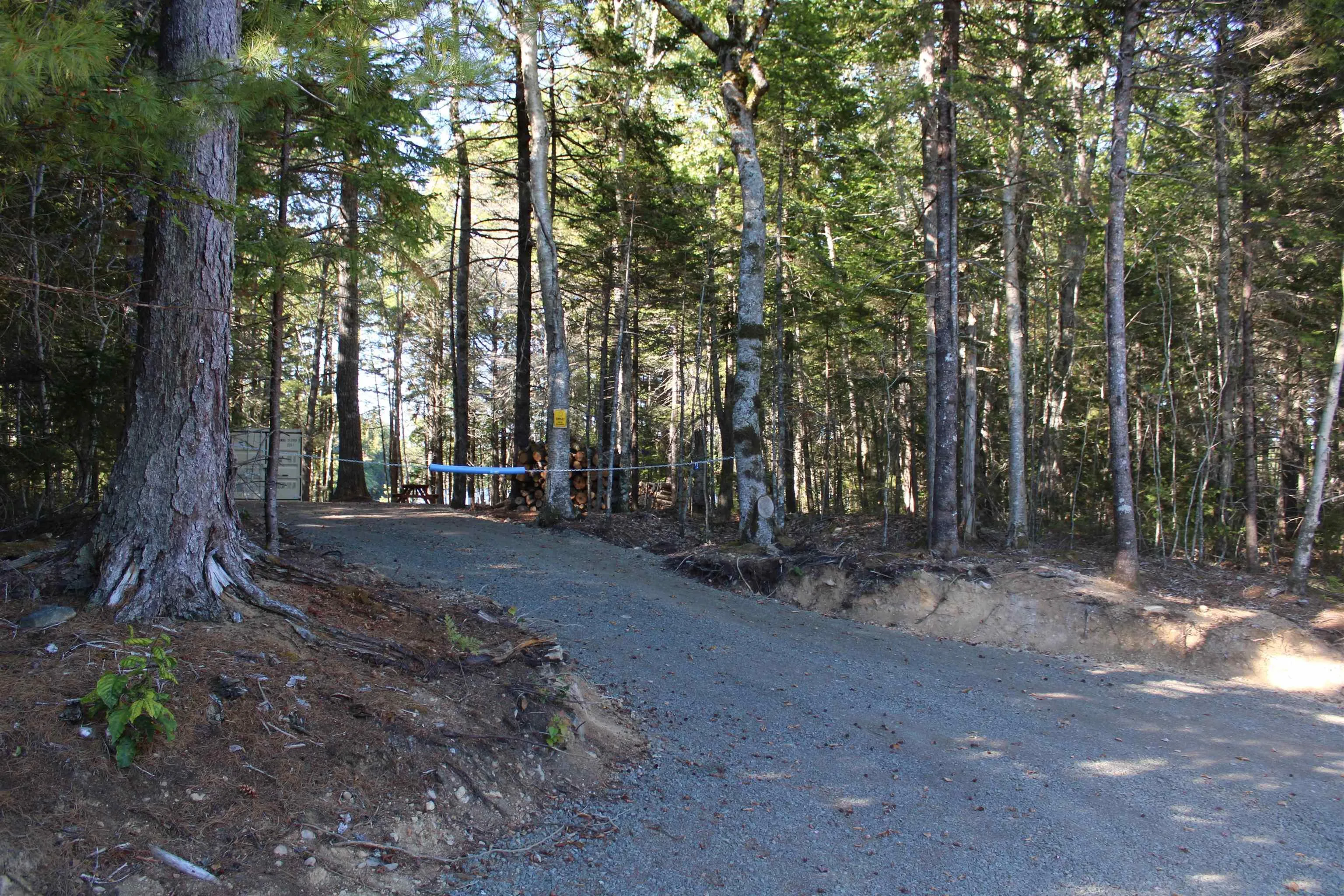 107 South Wrights Lake Road, Weymouth Mills, NS B0W 3T0, ,Land,For Sale,South Wrights Lake,202523684