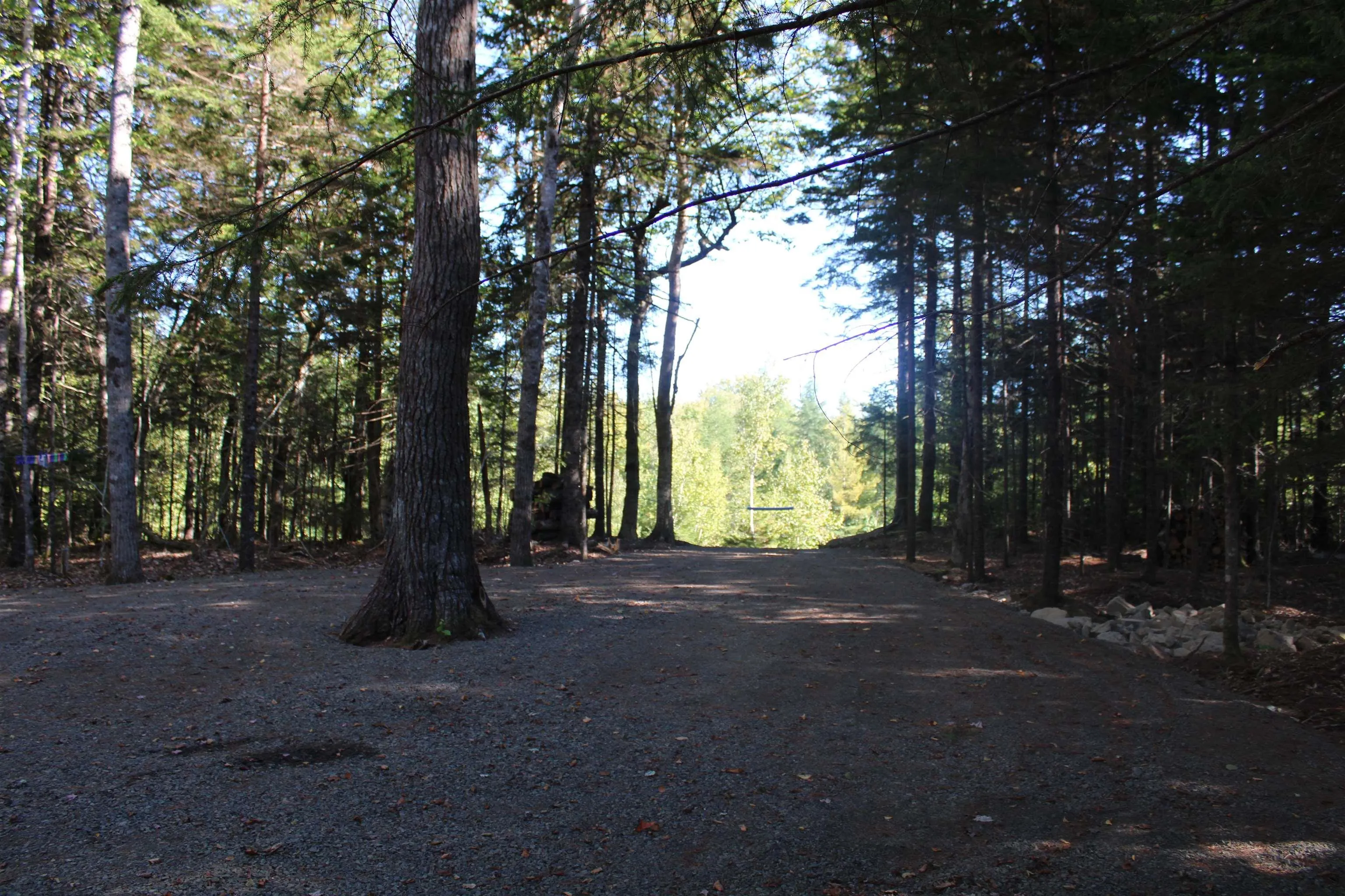 107 South Wrights Lake Road, Weymouth Mills, NS B0W 3T0, ,Land,For Sale,South Wrights Lake,202523684