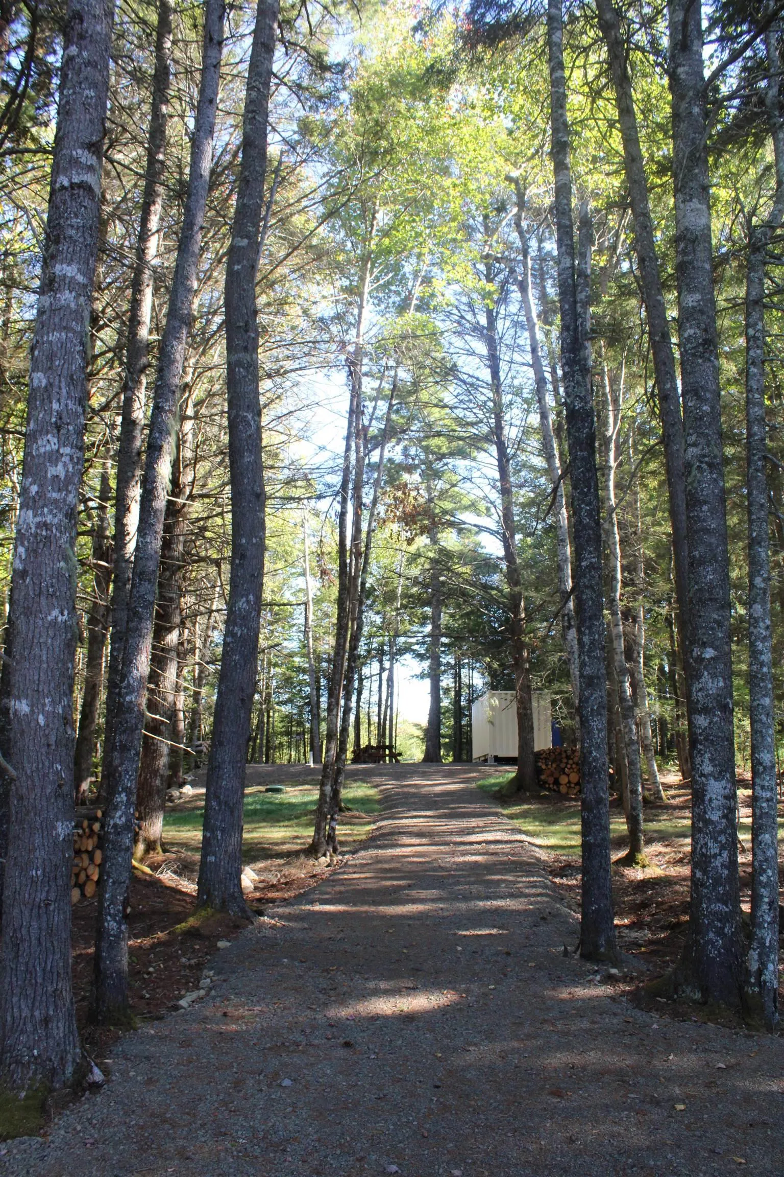 107 South Wrights Lake Road, Weymouth Mills, NS B0W 3T0, ,Land,For Sale,South Wrights Lake,202523684