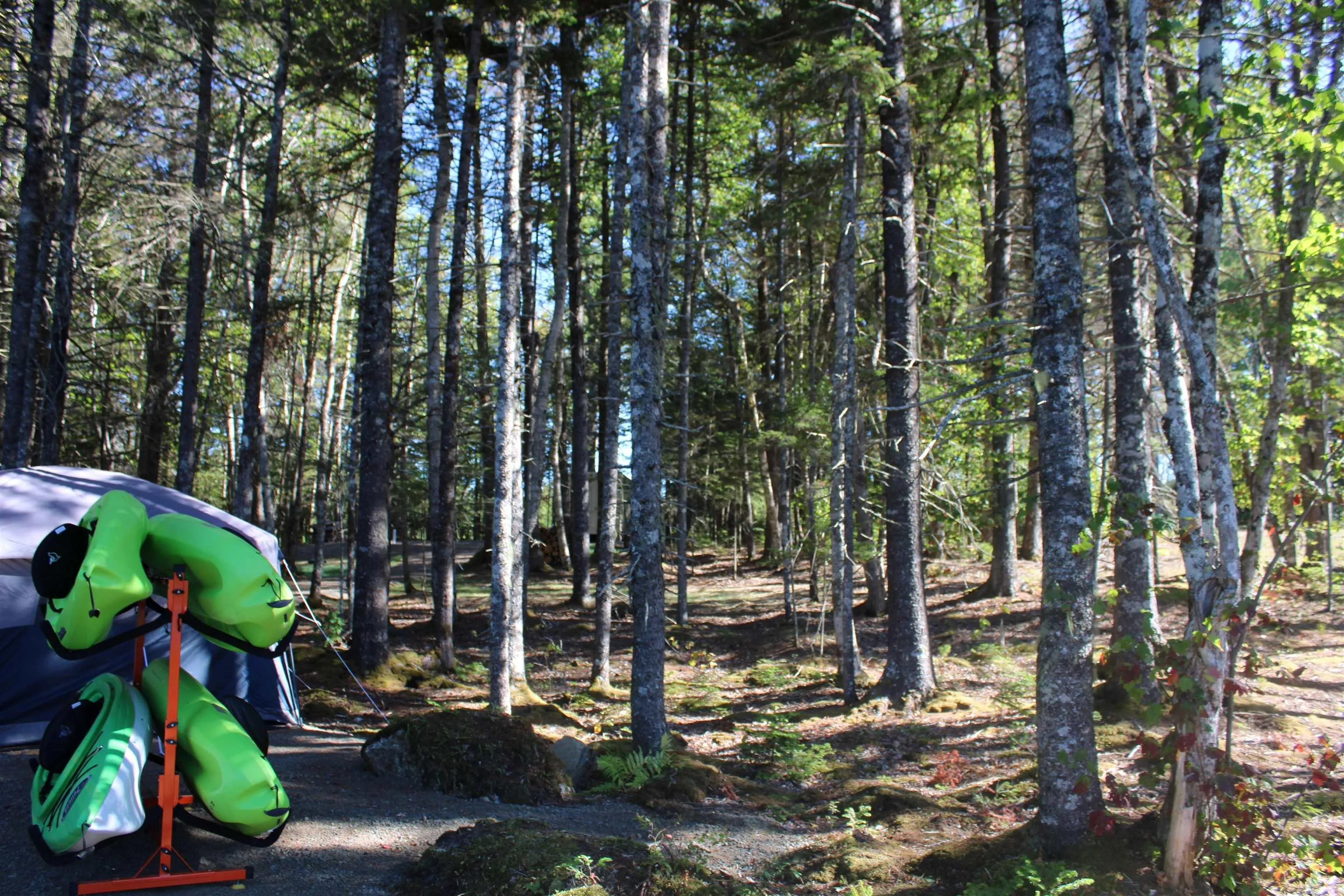 107 South Wrights Lake Road, Weymouth Mills, NS B0W 3T0, ,Land,For Sale,South Wrights Lake,202523684