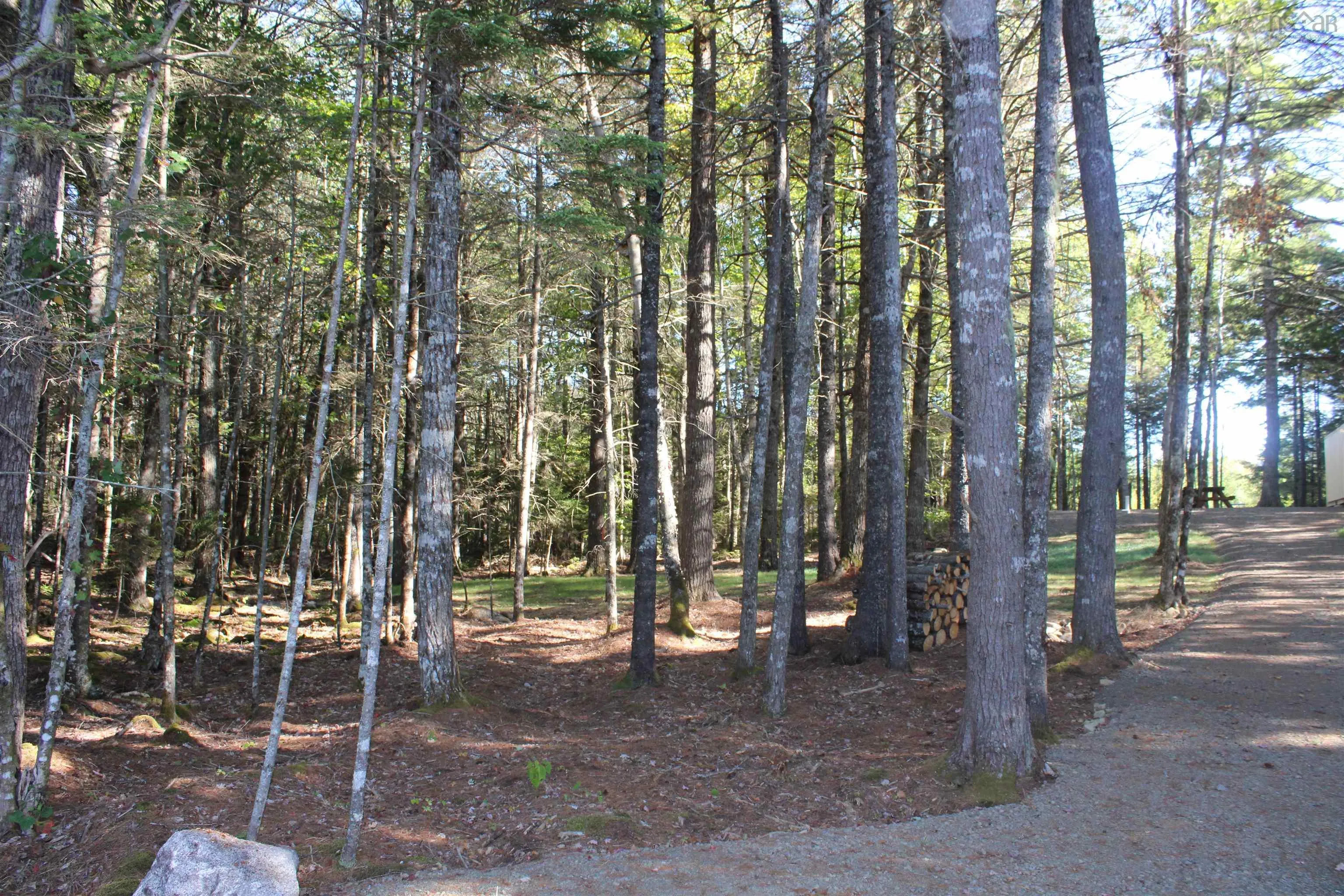 107 South Wrights Lake Road, Weymouth Mills, NS B0W 3T0, ,Land,For Sale,South Wrights Lake,202523684