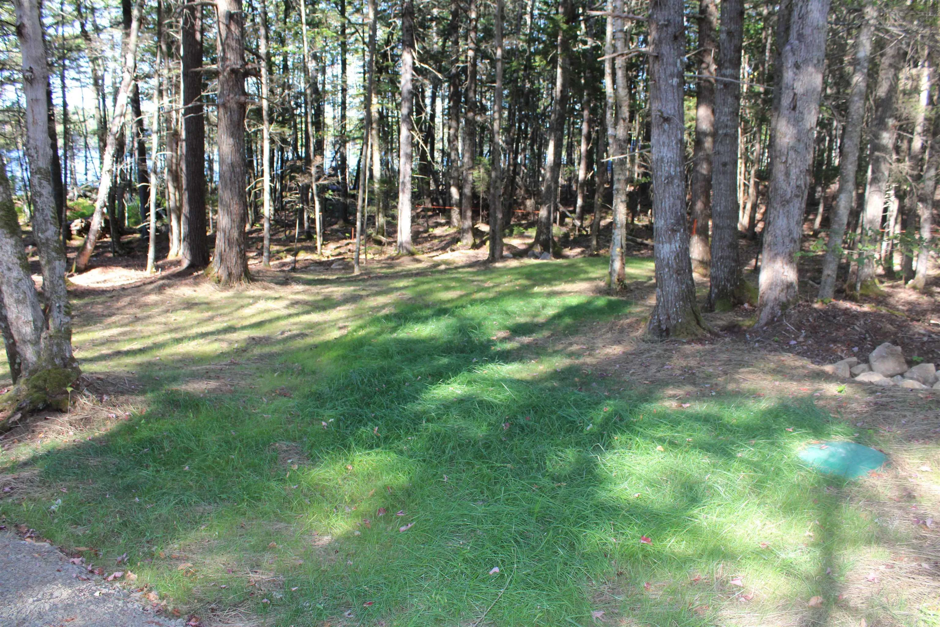 107 South Wrights Lake Road, Weymouth Mills, NS B0W 3T0, ,Land,For Sale,South Wrights Lake,202523684