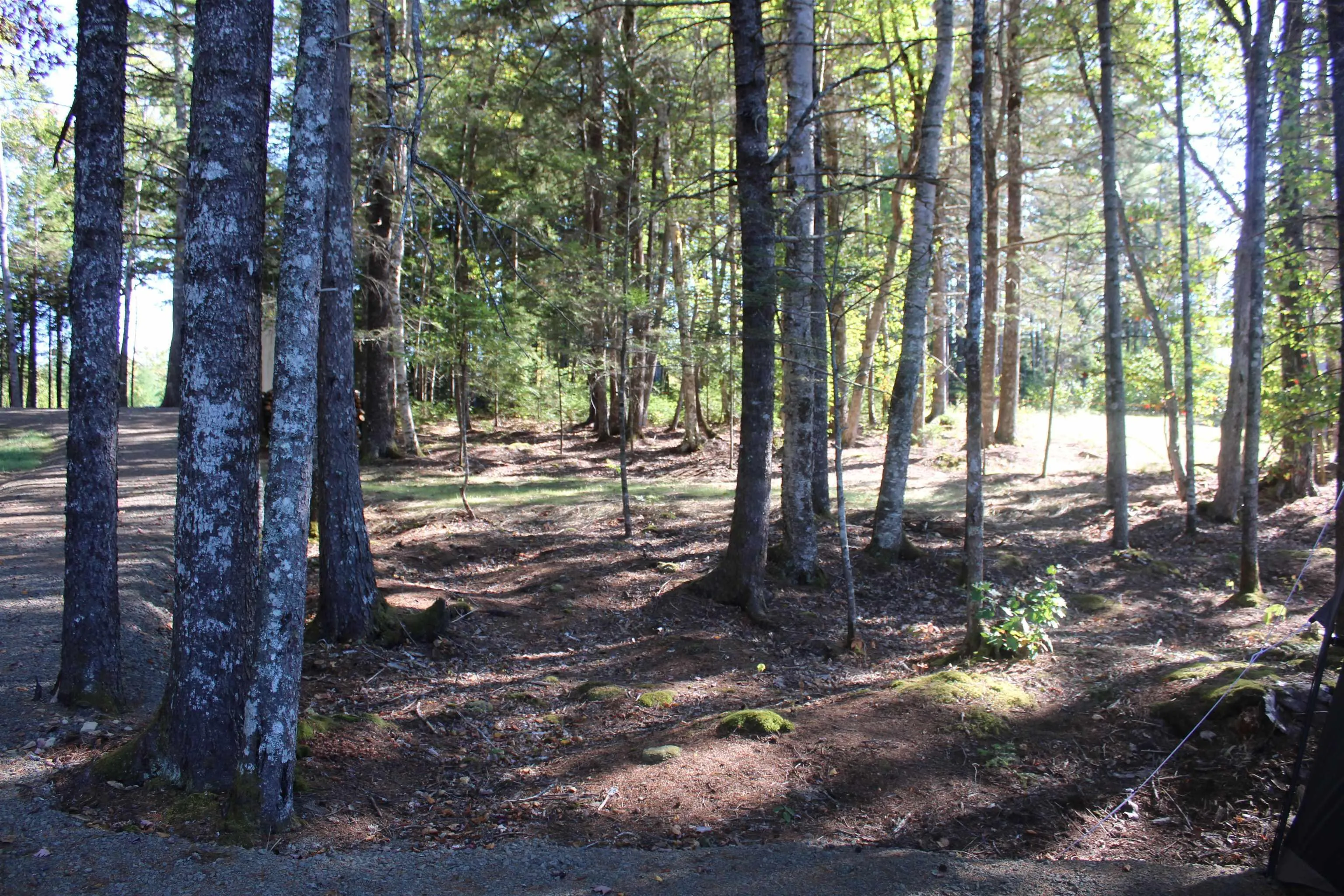 107 South Wrights Lake Road, Weymouth Mills, NS B0W 3T0, ,Land,For Sale,South Wrights Lake,202523684