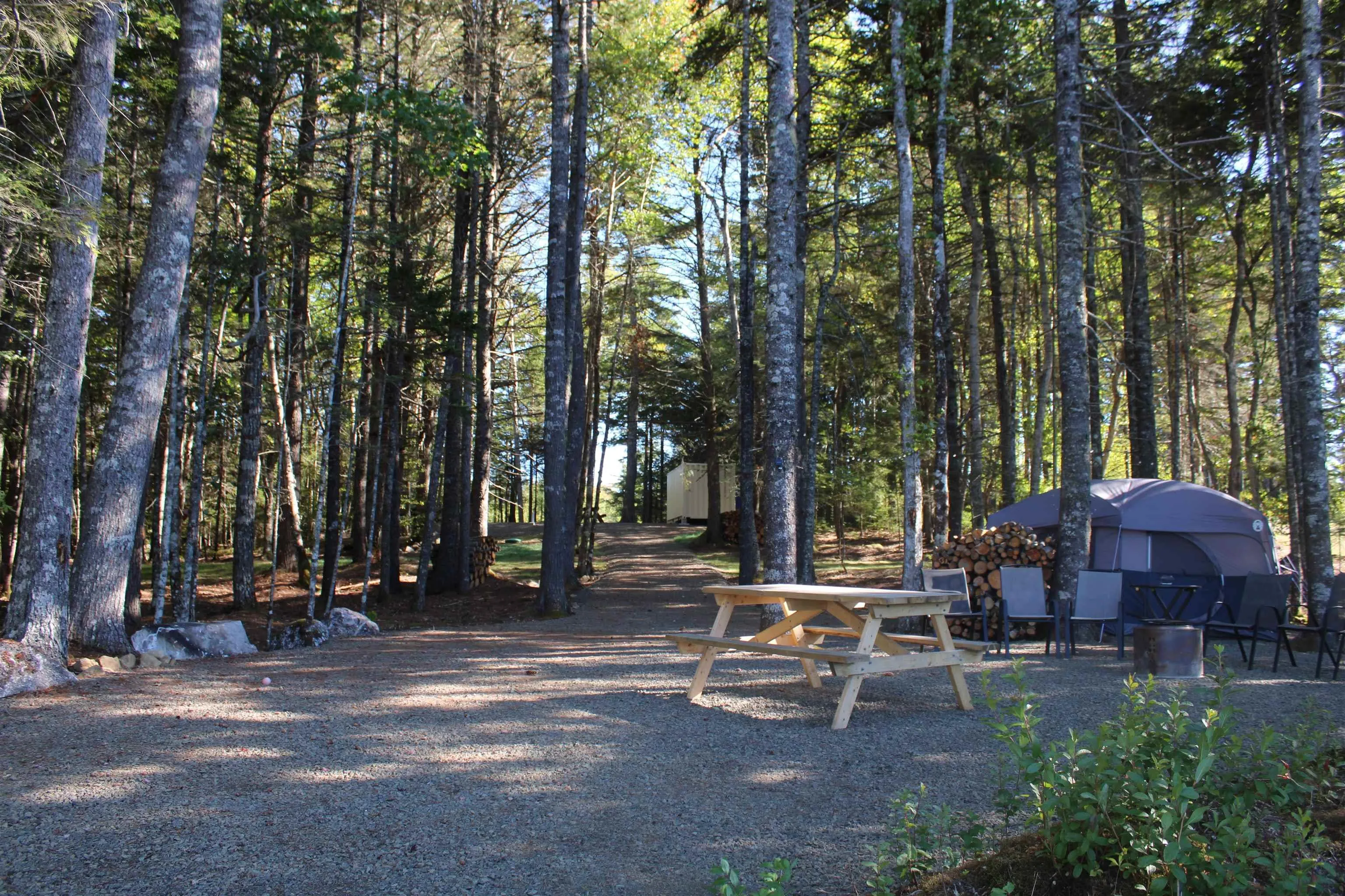 107 South Wrights Lake Road, Weymouth Mills, NS B0W 3T0, ,Land,For Sale,South Wrights Lake,202523684