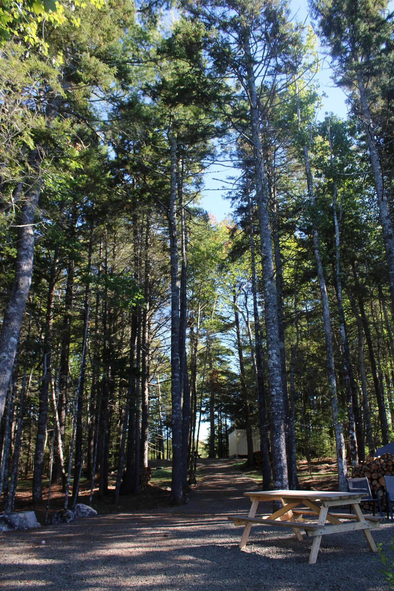 107 South Wrights Lake Road, Weymouth Mills, NS B0W 3T0, ,Land,For Sale,South Wrights Lake,202523684