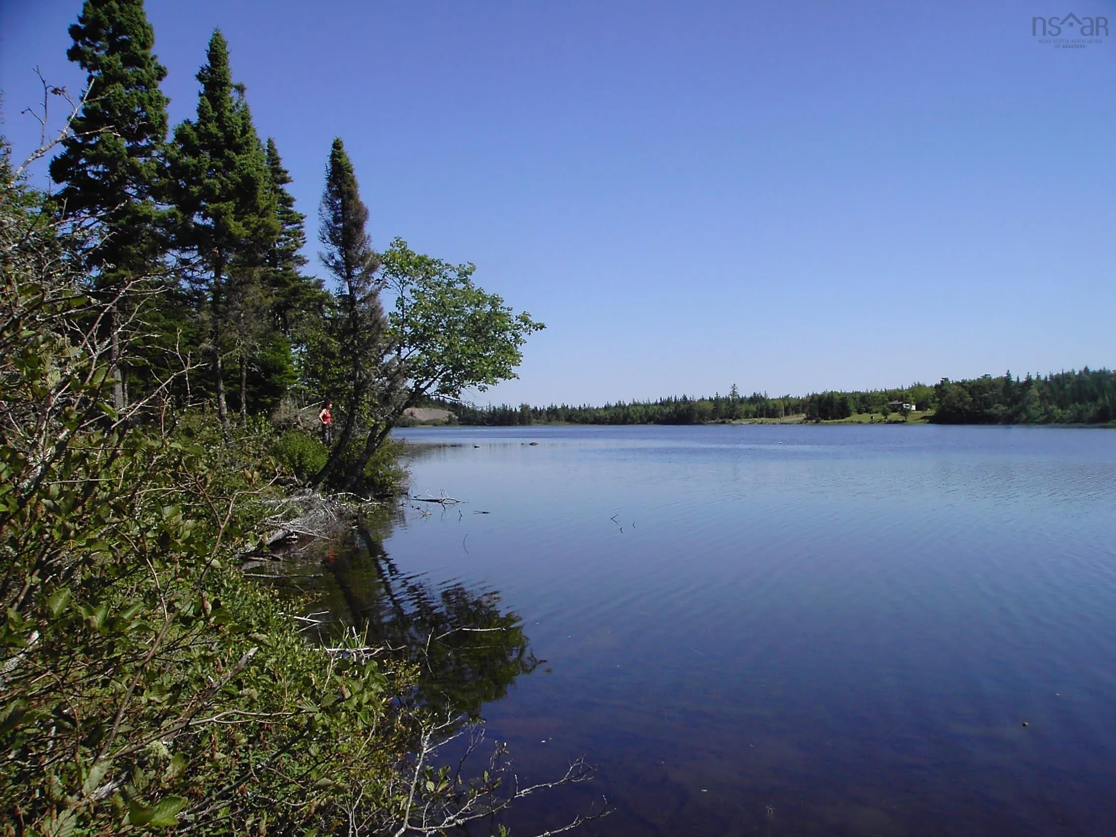45 Joanne Langford Dr, French Road, NS B1K 3P9, ,Land,For Sale,Joanne Langford Dr,202518955
