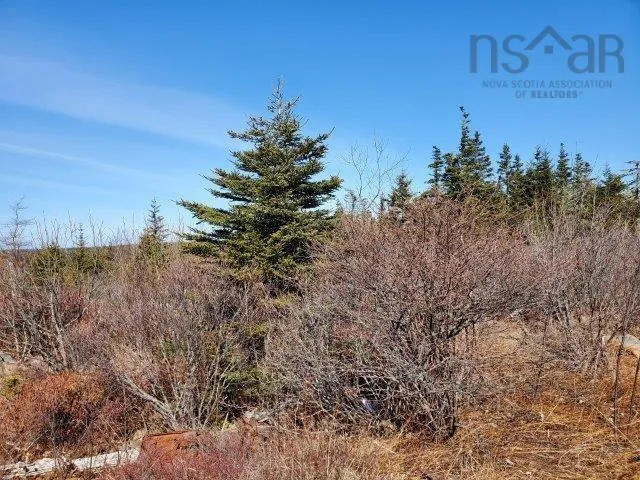 Rocky's Lane, Central Woods Harbour Ns B0w 2e0, ,Land,For Sale,Rocky's,202403911
