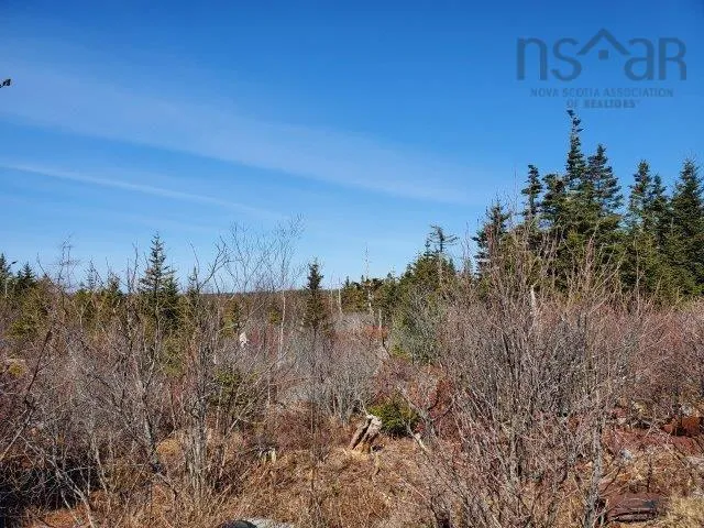 Rocky's Lane, Central Woods Harbour Ns B0w 2e0, ,Land,For Sale,Rocky's,202403911