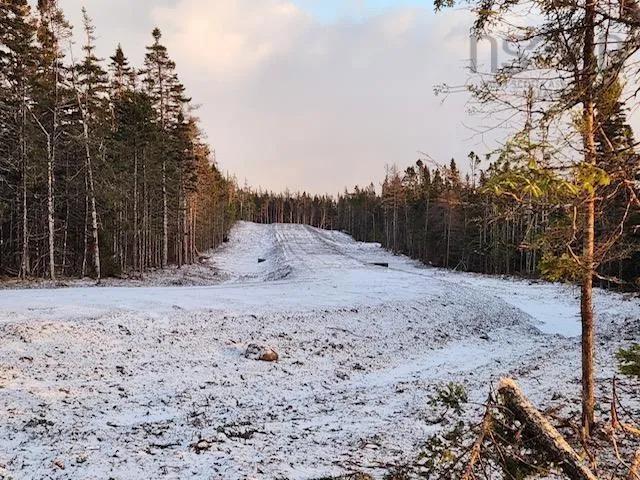 247 Highway, Grand Greve, NS B0E 3B0, ,Land,For Sale,247,202521075