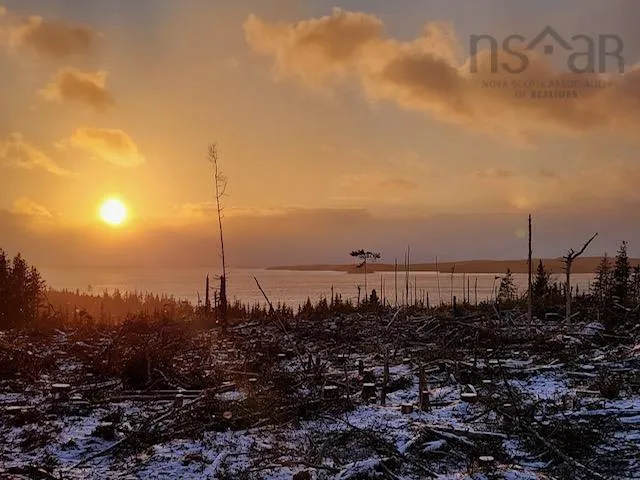 247 Highway, Grand Greve, NS B0E 3B0, ,Land,For Sale,247,202521075