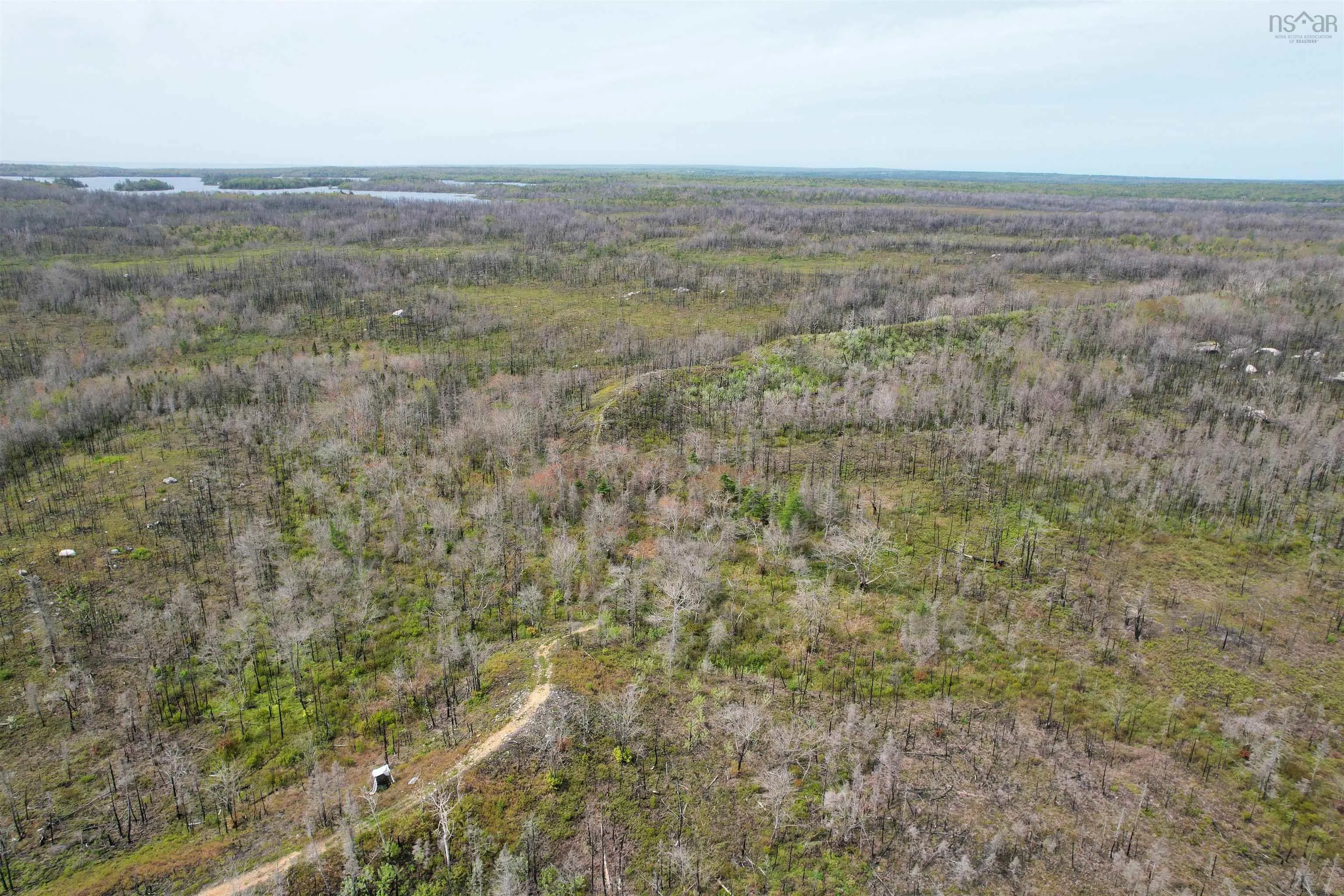 Goose Lake Road Lot 1, Goose Lake, NS B0W 1E0, ,Land,For Sale,Goose Lake,202513612