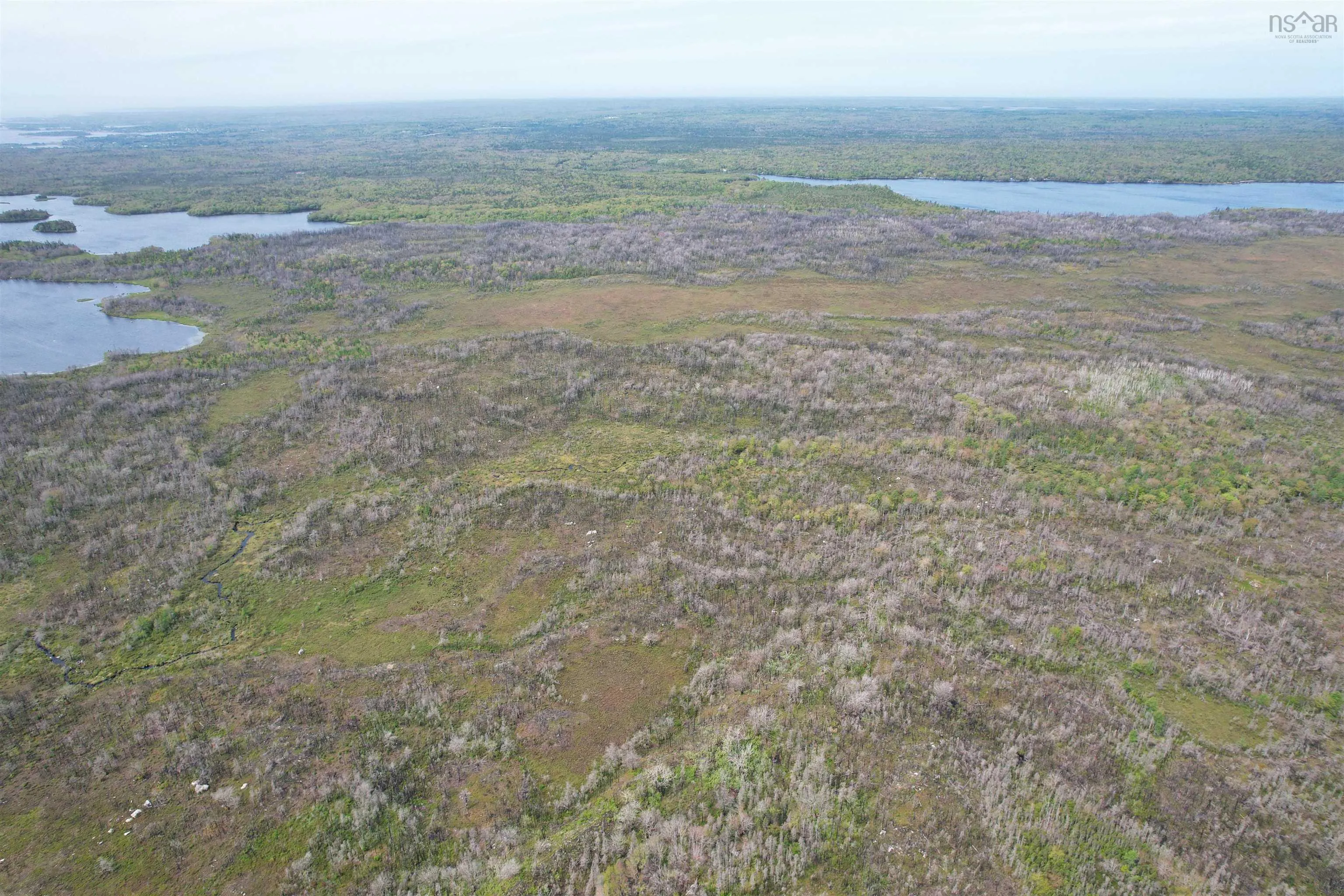 Goose Lake Road Lot 1, Goose Lake, NS B0W 1E0, ,Land,For Sale,Goose Lake,202513612