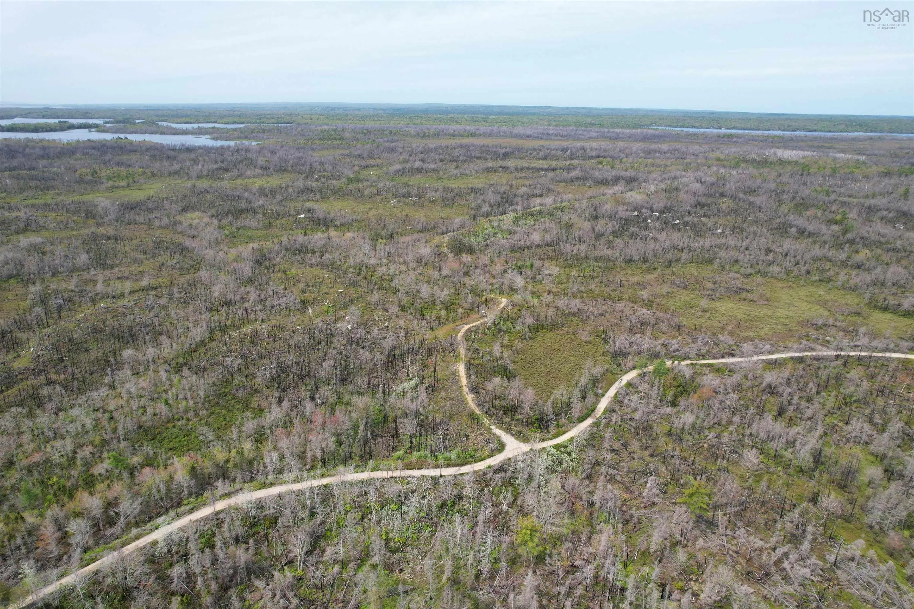 Goose Lake Road Lot 1, Goose Lake, NS B0W 1E0, ,Land,For Sale,Goose Lake,202513612