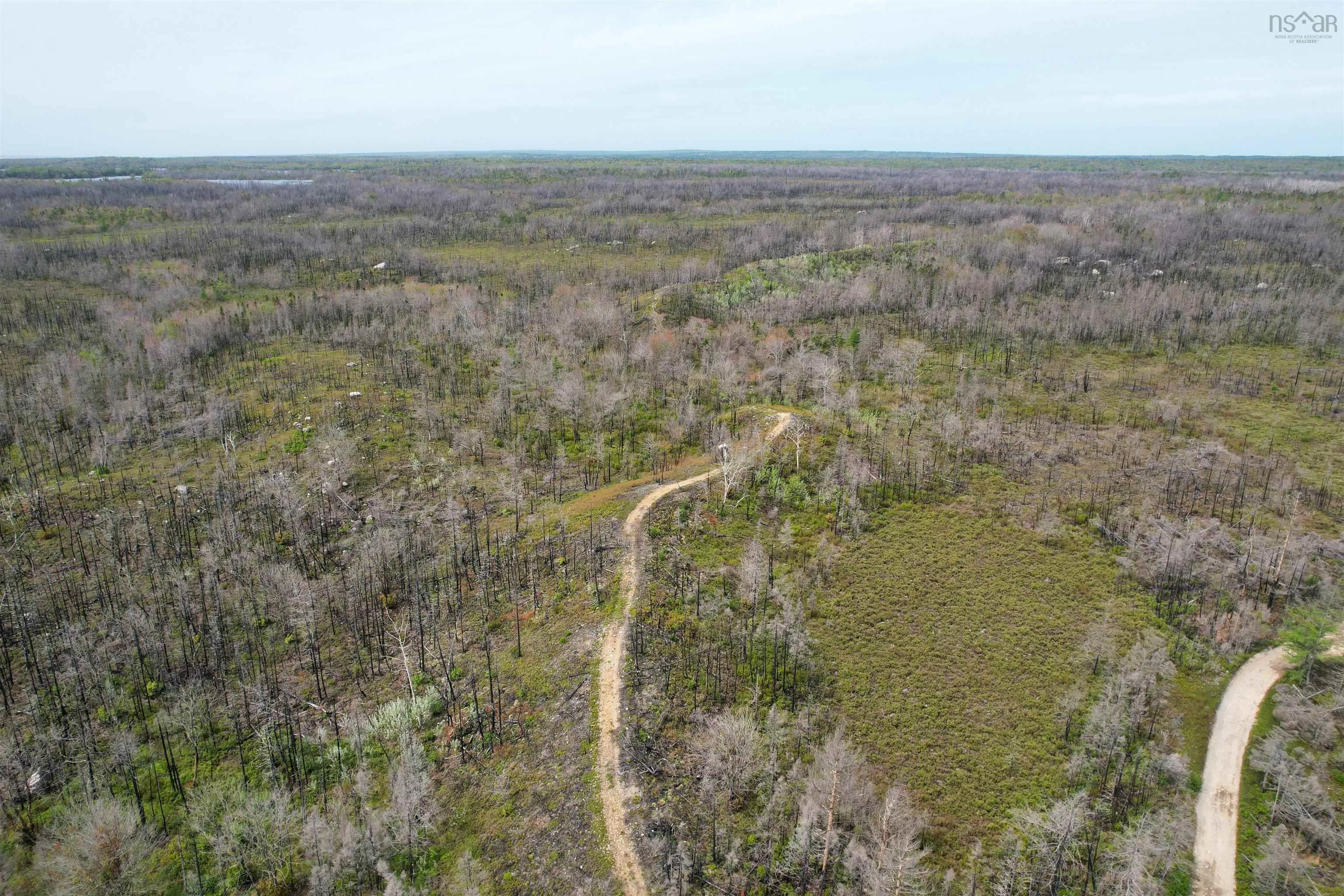 Goose Lake Road Lot 1, Goose Lake, NS B0W 1E0, ,Land,For Sale,Goose Lake,202513612