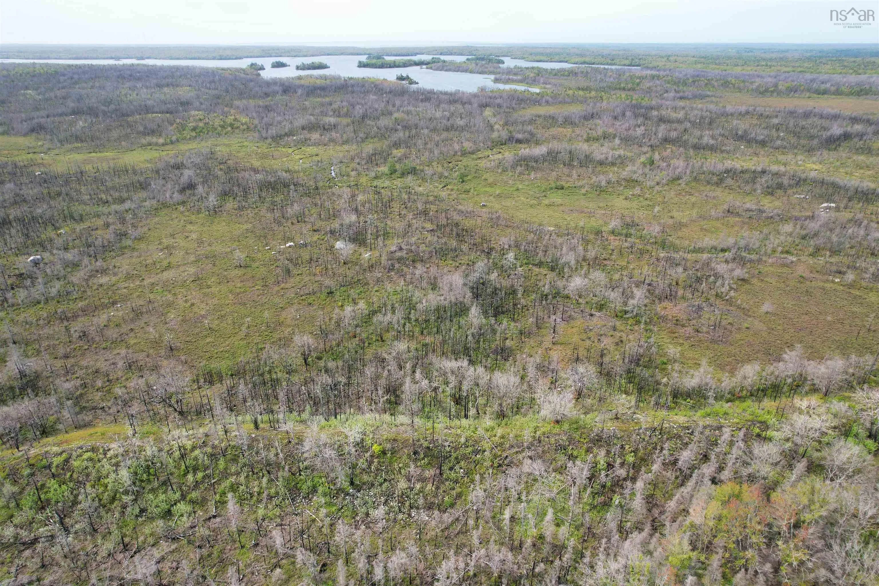 Goose Lake Road Lot 1, Goose Lake, NS B0W 1E0, ,Land,For Sale,Goose Lake,202513612
