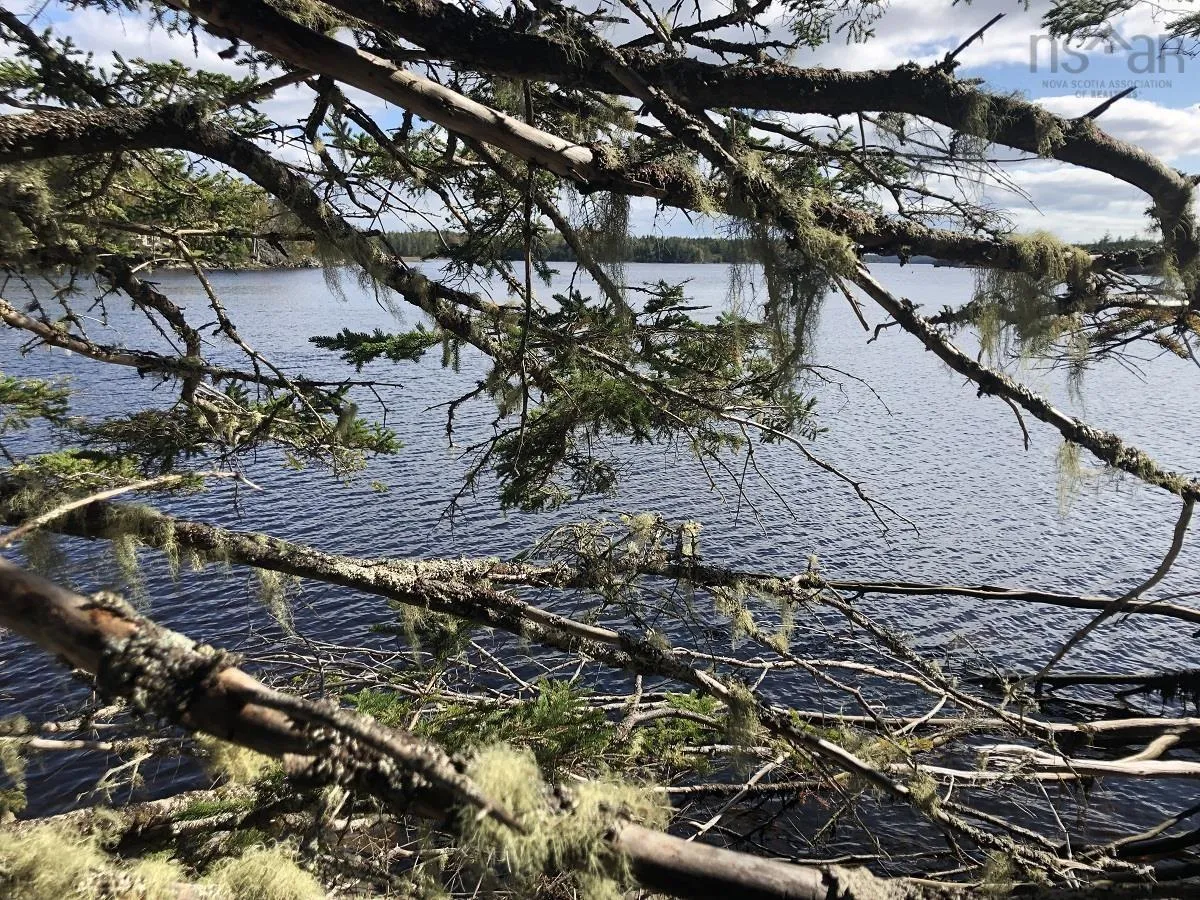Lot 8 Anderson Drive, Goldenville Ns B0j 3c0, ,Land,For Sale,Anderson,202322811