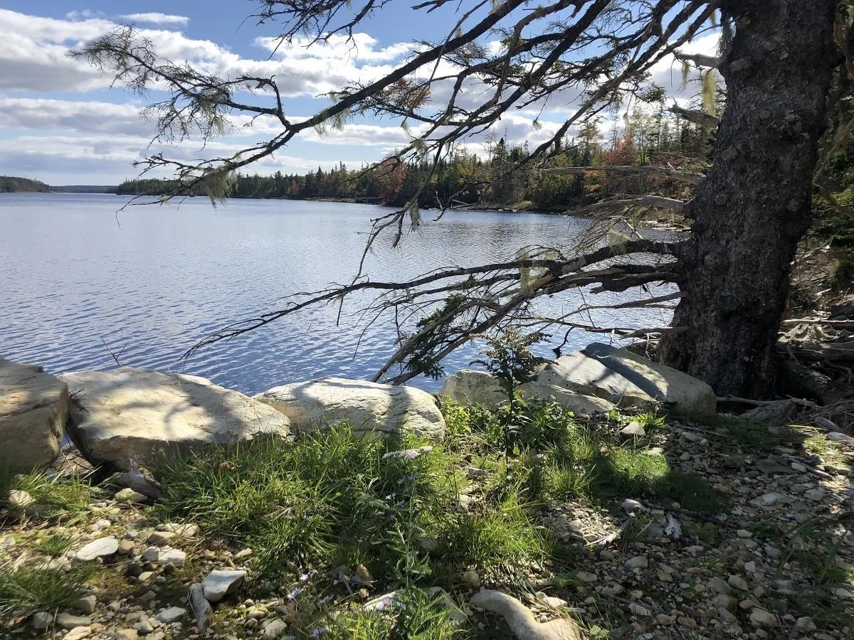 Lot 8 Anderson Drive, Goldenville Ns B0j 3c0, ,Land,For Sale,Anderson,202322811