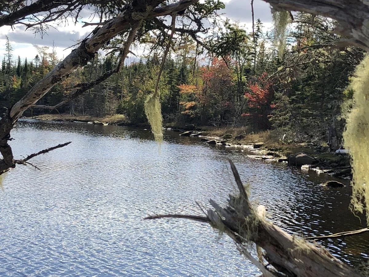 Lot 8 Anderson Drive, Goldenville Ns B0j 3c0, ,Land,For Sale,Anderson,202322811