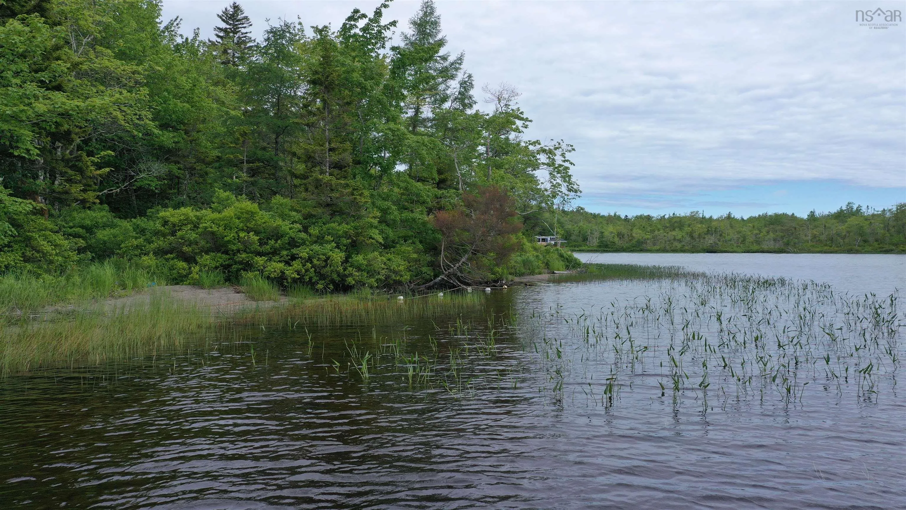Old Ellie Lane Lot 13, Brazil Lake Ns B5a 5n4, ,Land,For Sale,Old Ellie,202413681