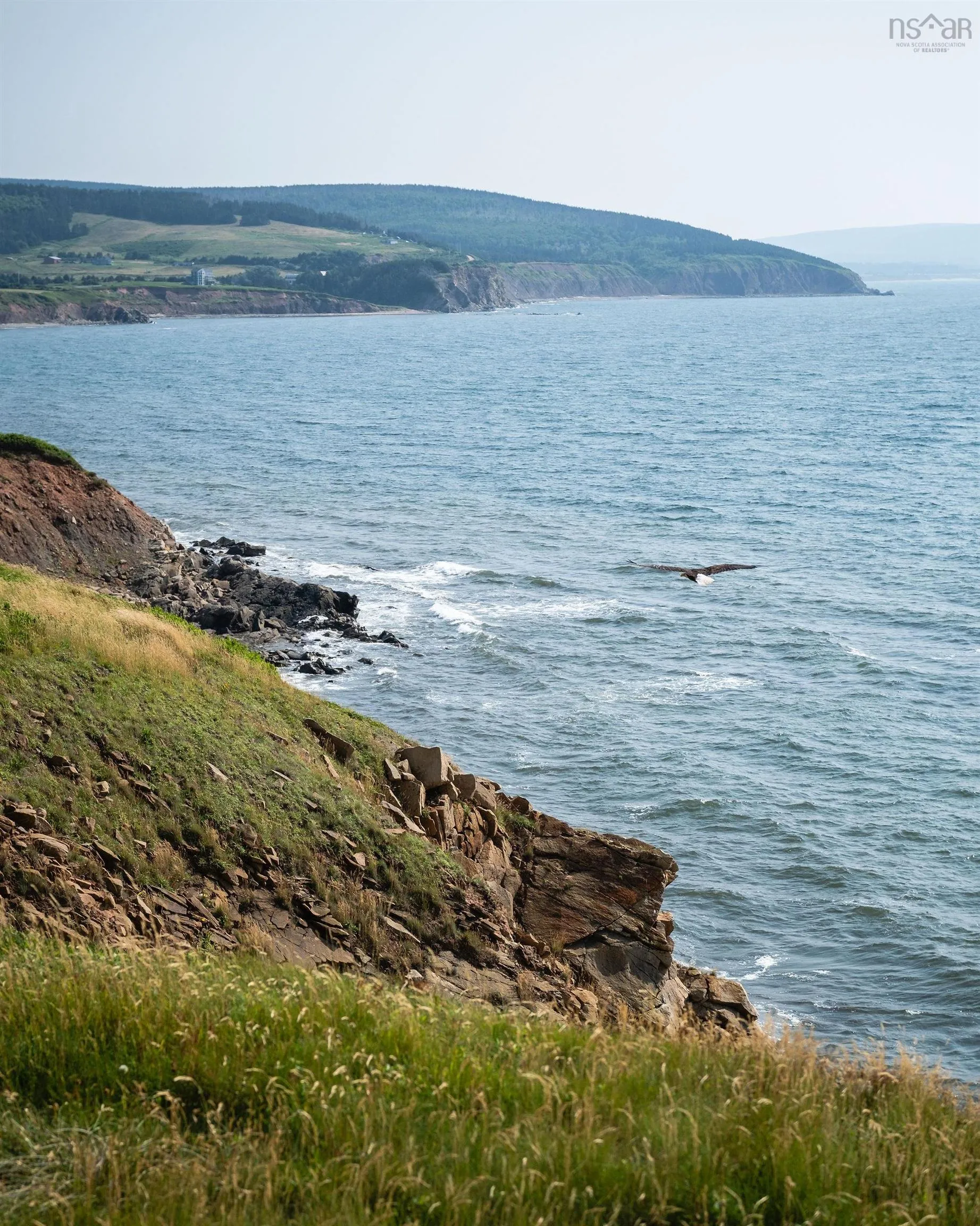 Broad Cove Marsh Road, Broad Cove Marsh, NS B0E 1N0, ,Land,For Sale,Broad Cove Marsh,202518845