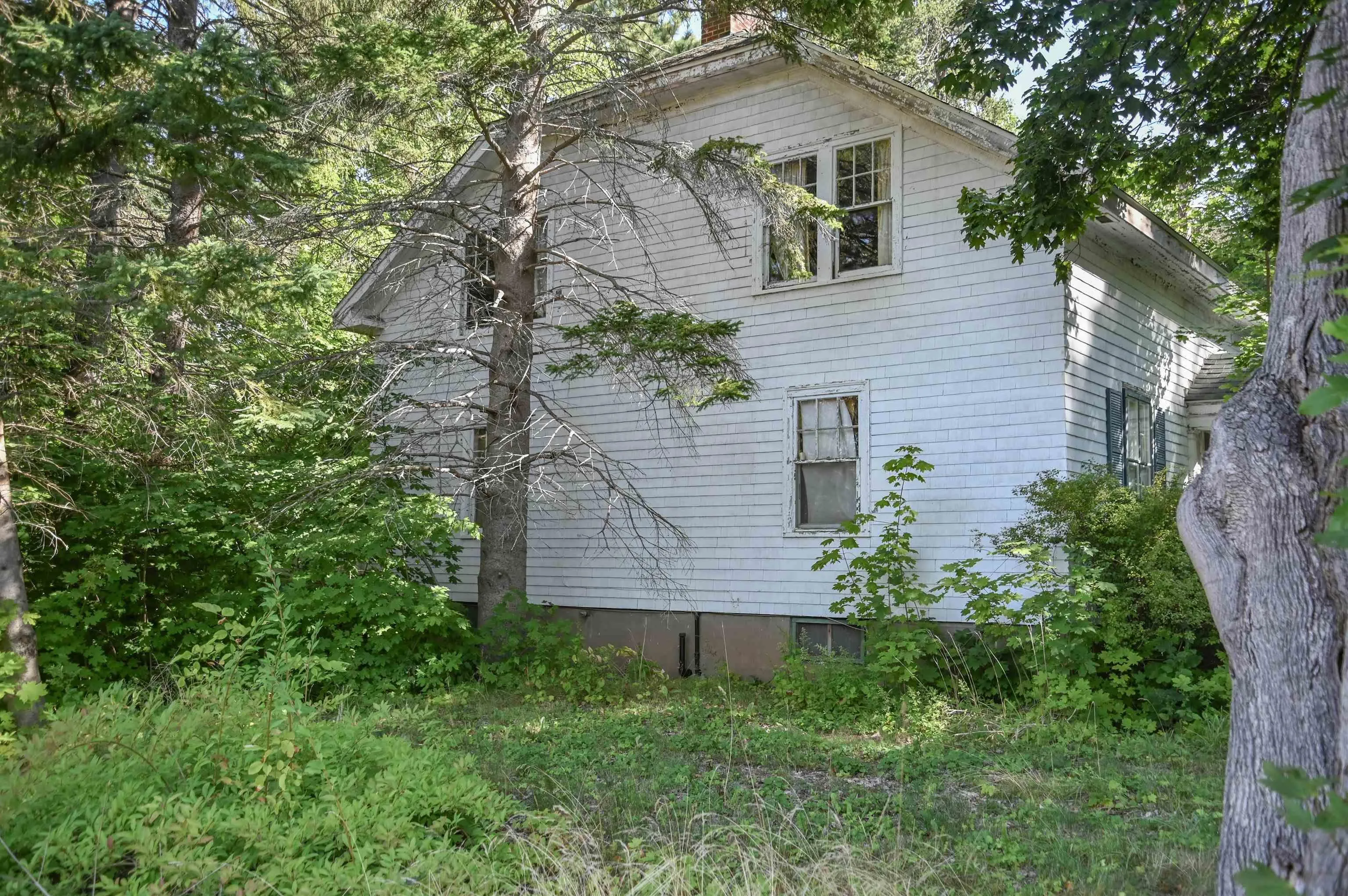 12 King Street, Wolfville, NS B4P 1K3, 4 Bedrooms Bedrooms, ,2 BathroomsBathrooms,Residential,For Sale,King,202522384