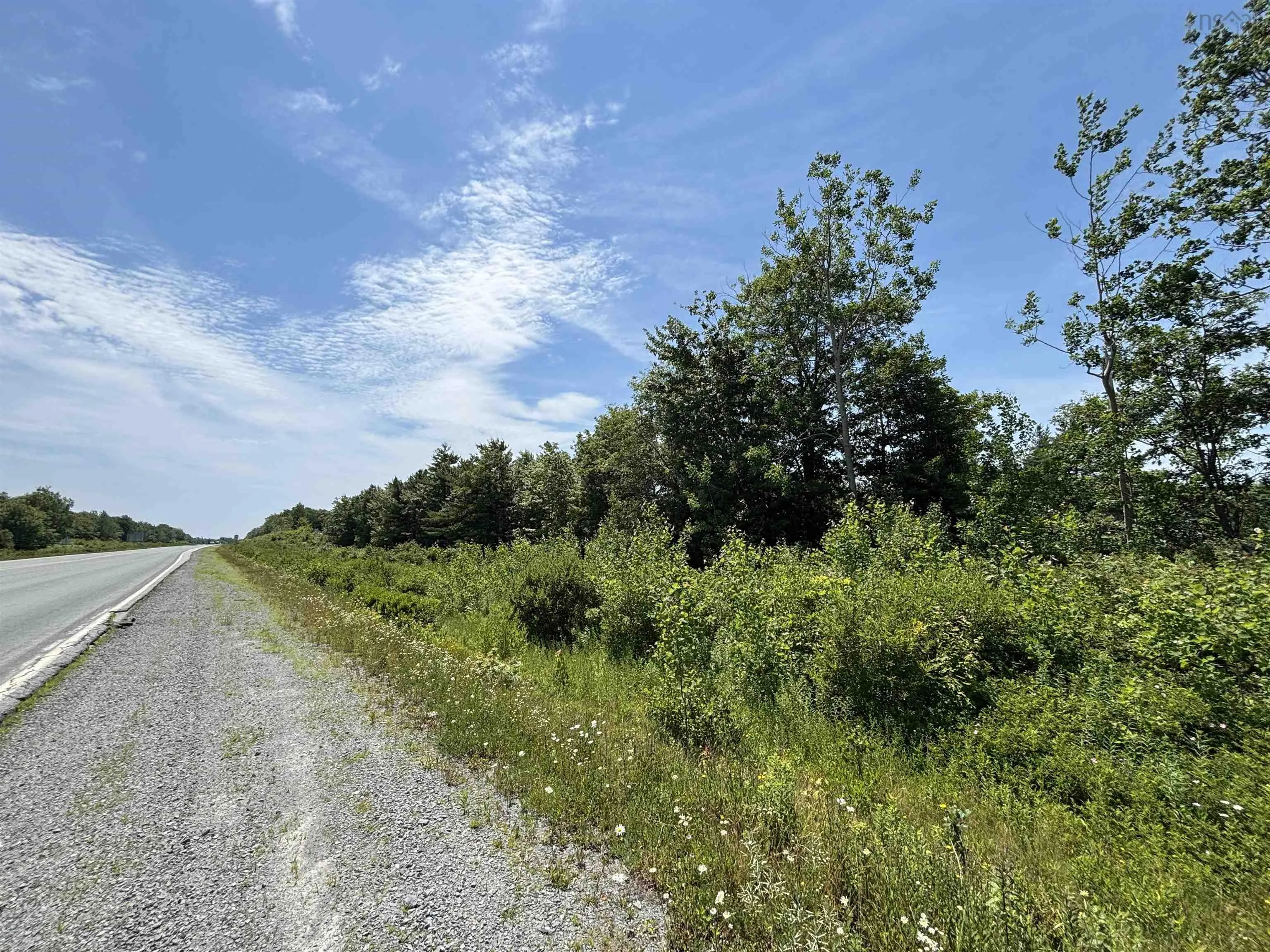 (pid 70164488) Highway 103, White Point, NS B0T 1K0, ,Land,For Sale,(Pid 70164488) Highway 103,202518548