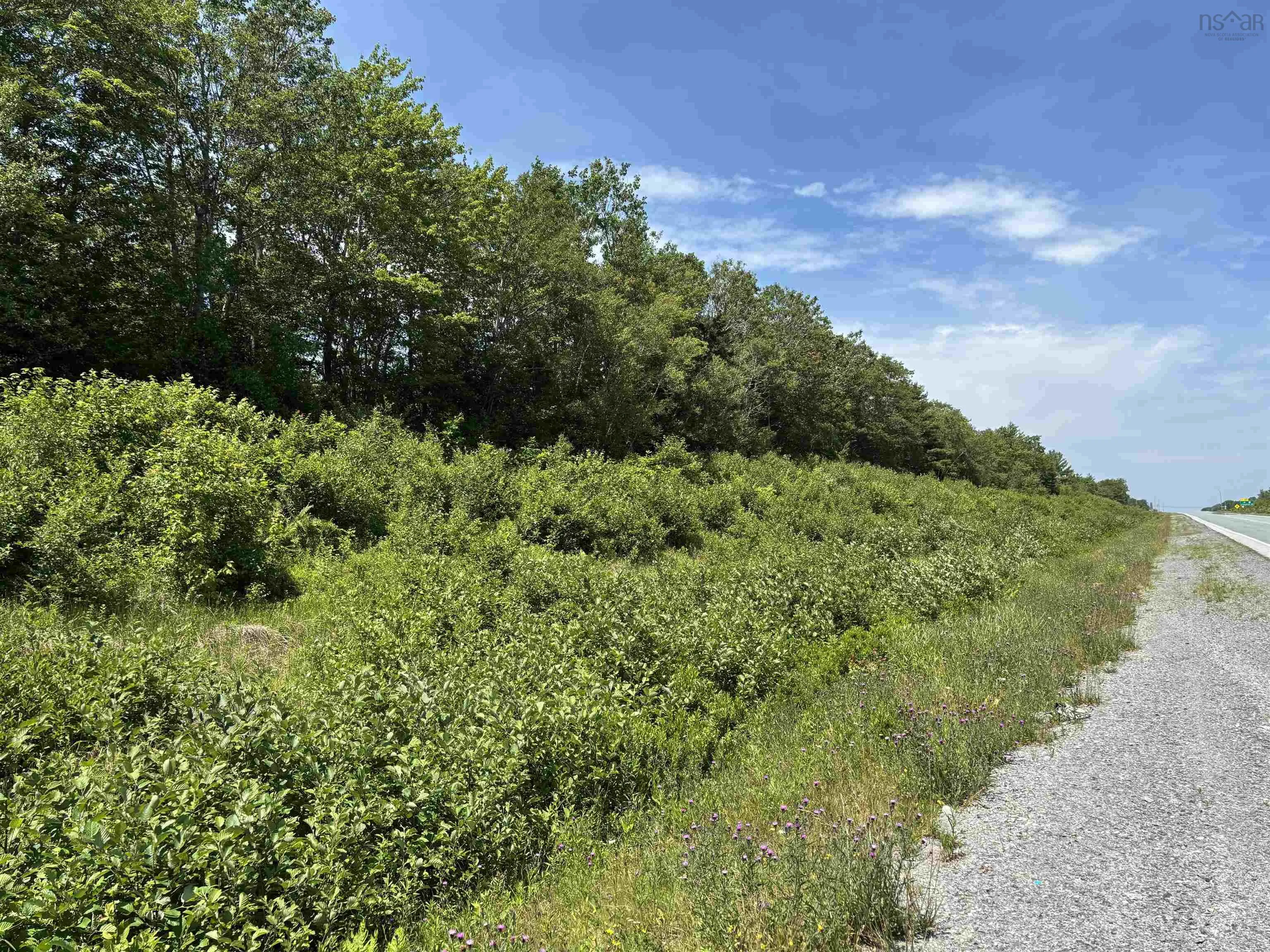 (pid 70164488) Highway 103, White Point, NS B0T 1K0, ,Land,For Sale,(Pid 70164488) Highway 103,202518548