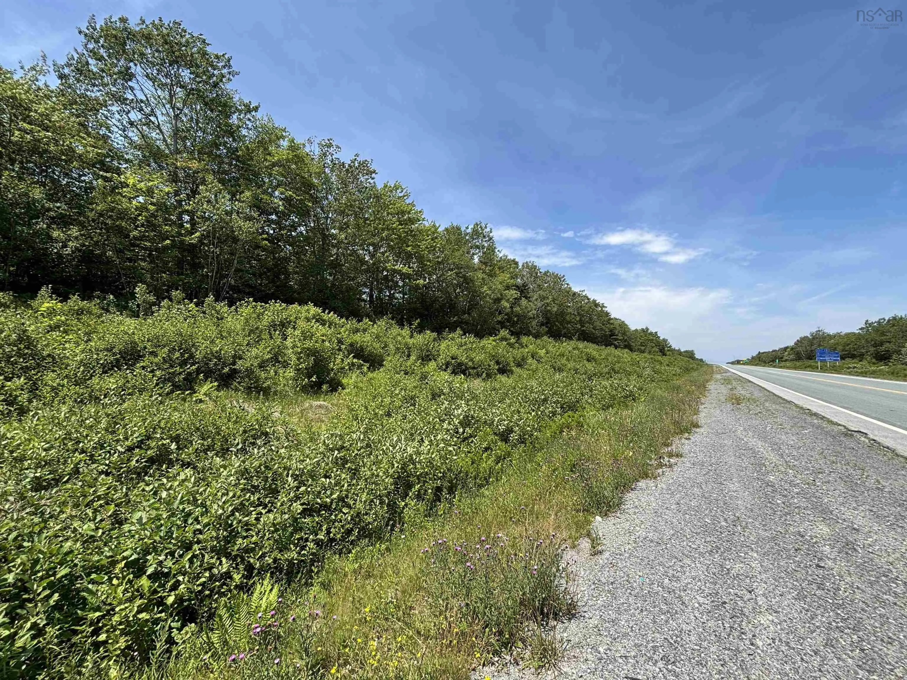 (pid 70164488) Highway 103, White Point, NS B0T 1K0, ,Land,For Sale,(Pid 70164488) Highway 103,202518548