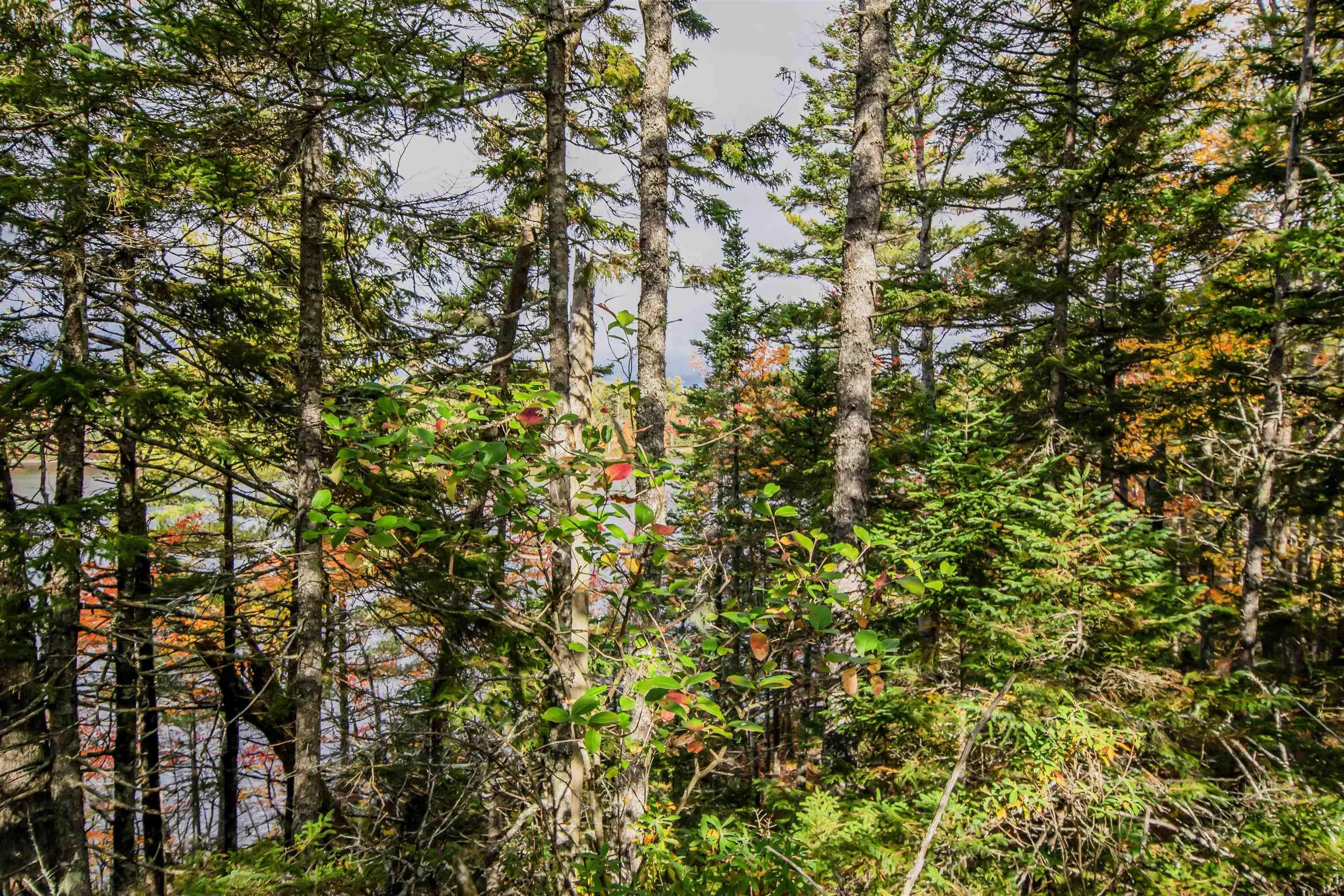 Lot 44 Meek Arm Trail, East Uniacke Ns B0n 1z0, ,Land,For Sale,Meek Arm,202424820