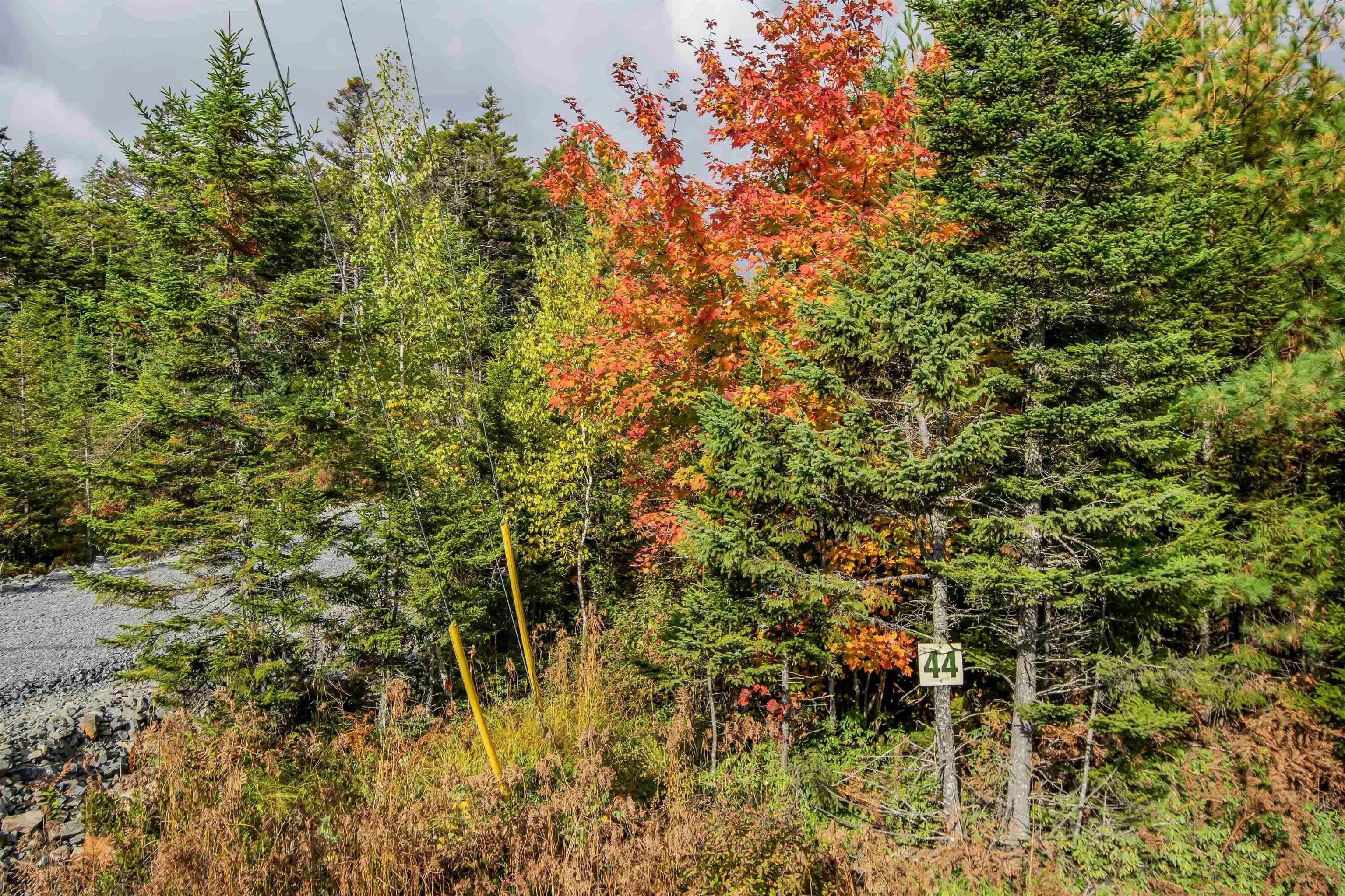 Lot 44 Meek Arm Trail, East Uniacke Ns B0n 1z0, ,Land,For Sale,Meek Arm,202424820