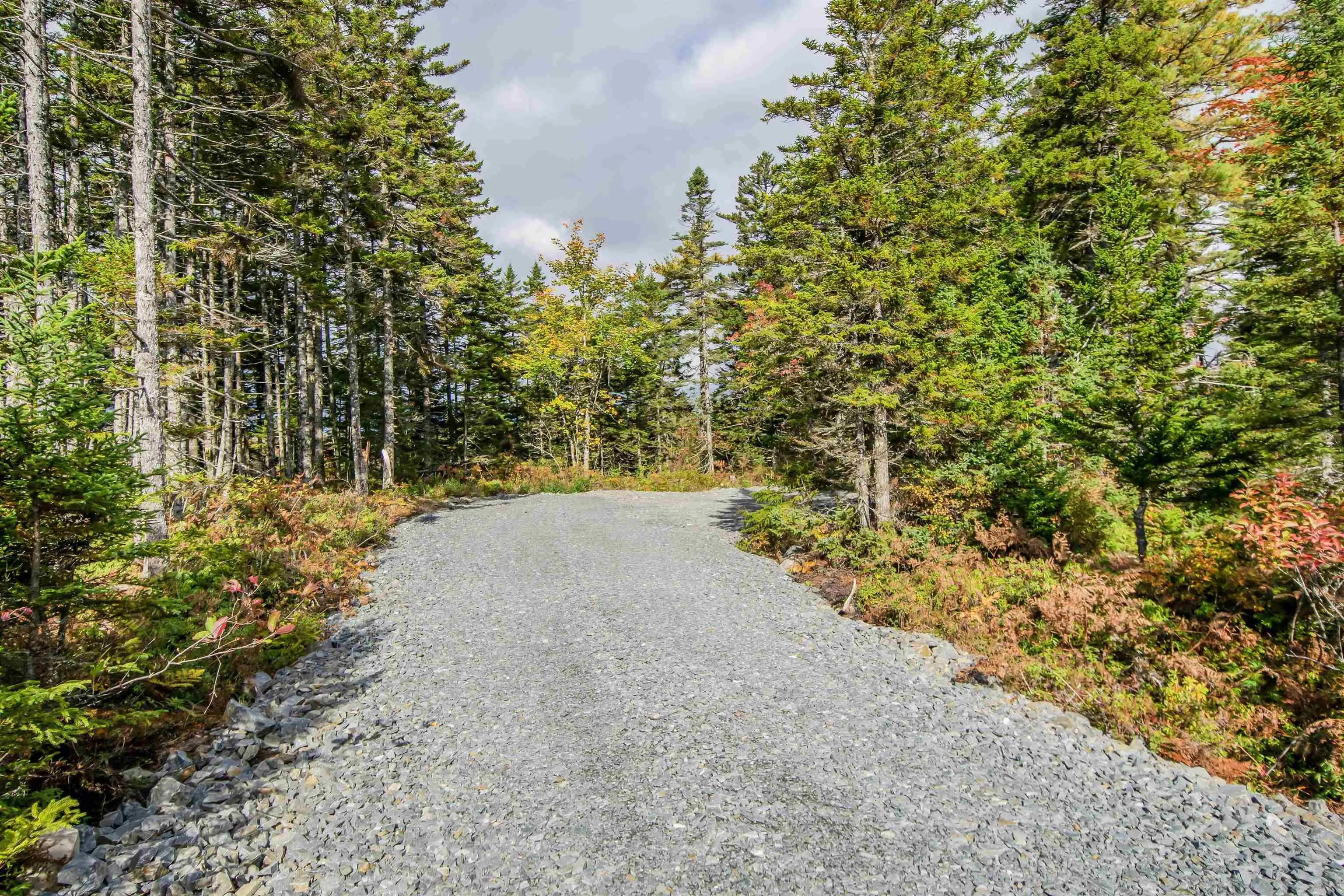 Lot 44 Meek Arm Trail, East Uniacke Ns B0n 1z0, ,Land,For Sale,Meek Arm,202424820