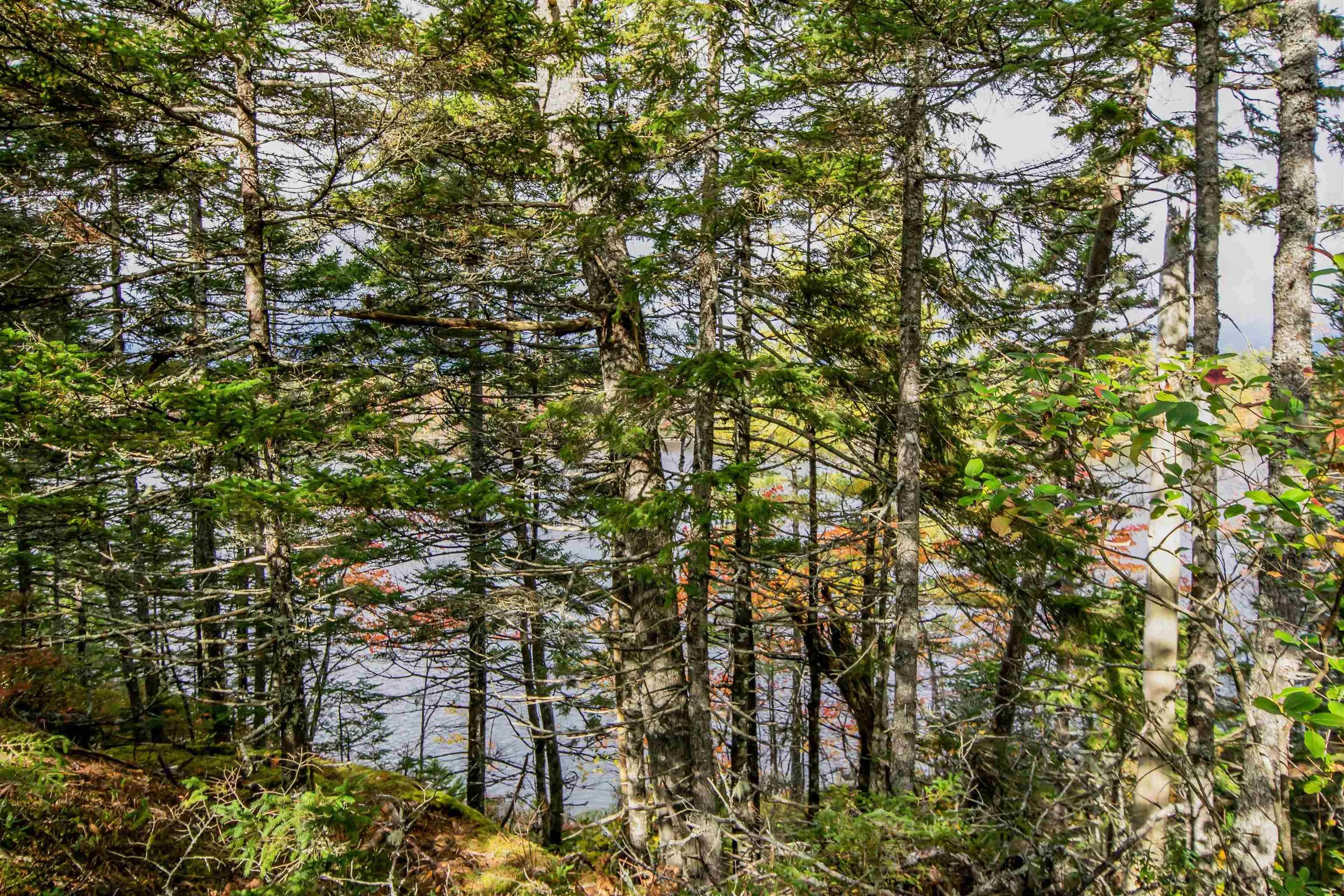 Lot 44 Meek Arm Trail, East Uniacke Ns B0n 1z0, ,Land,For Sale,Meek Arm,202424820