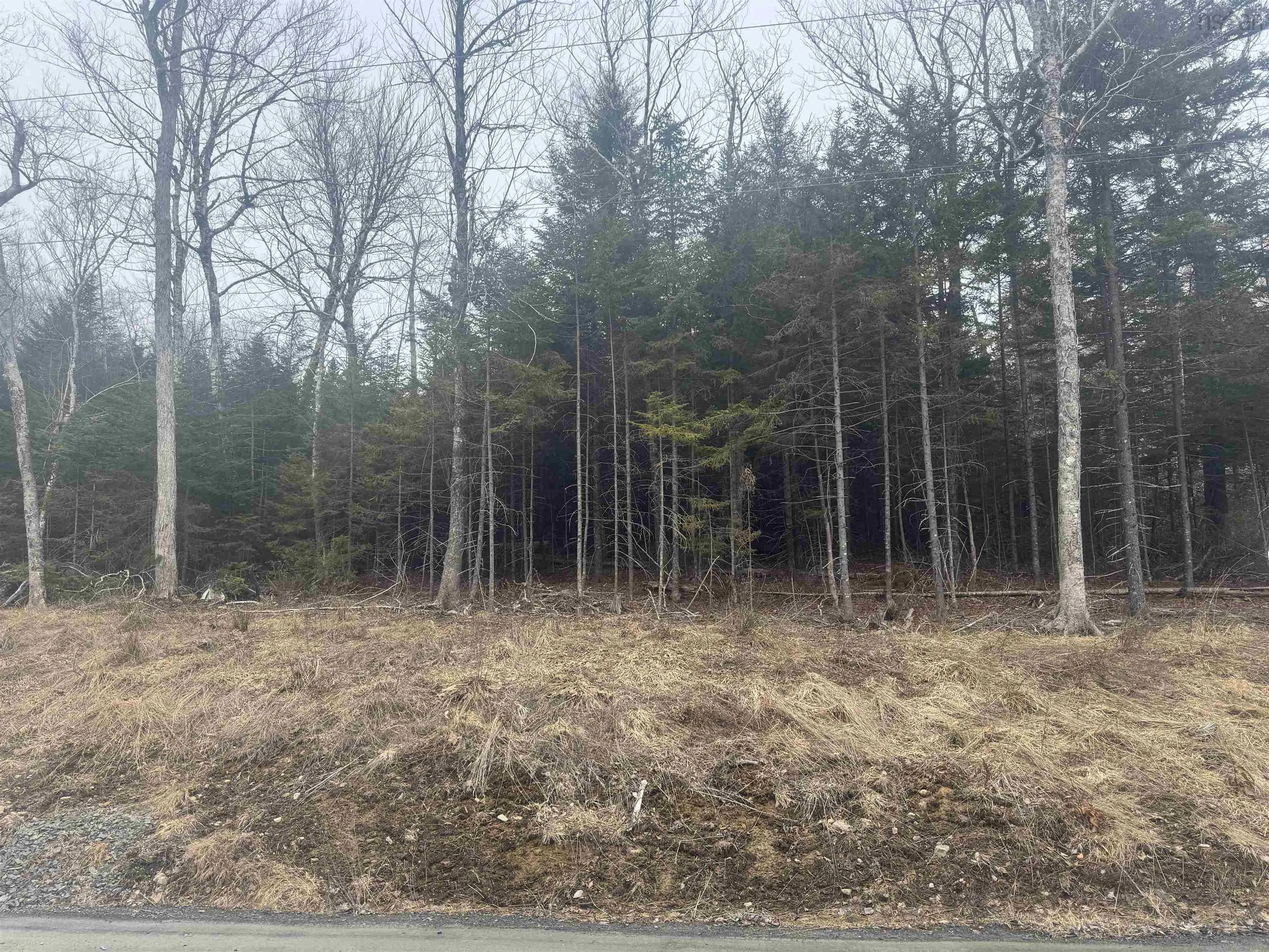 Douglaswood Drive Lot 8, Mount Uniacke Ns B0n 1z0, ,Land,For Sale,Douglaswood,202506151