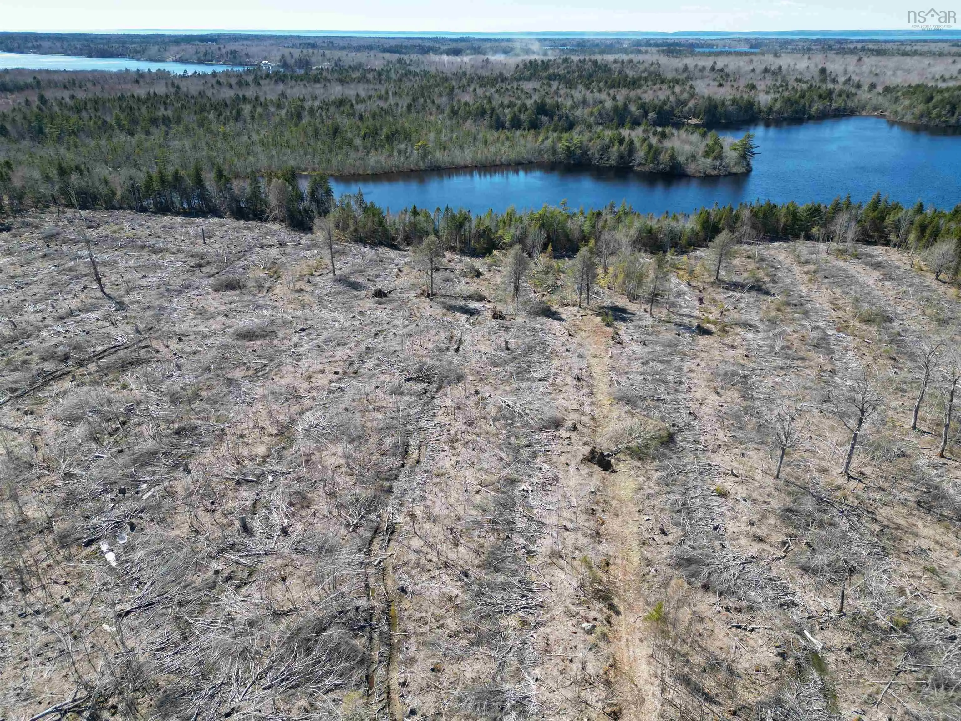 Bull Lake Road, Concession Ns B0w 1m0, ,Land,For Sale,Bull Lake,202500521