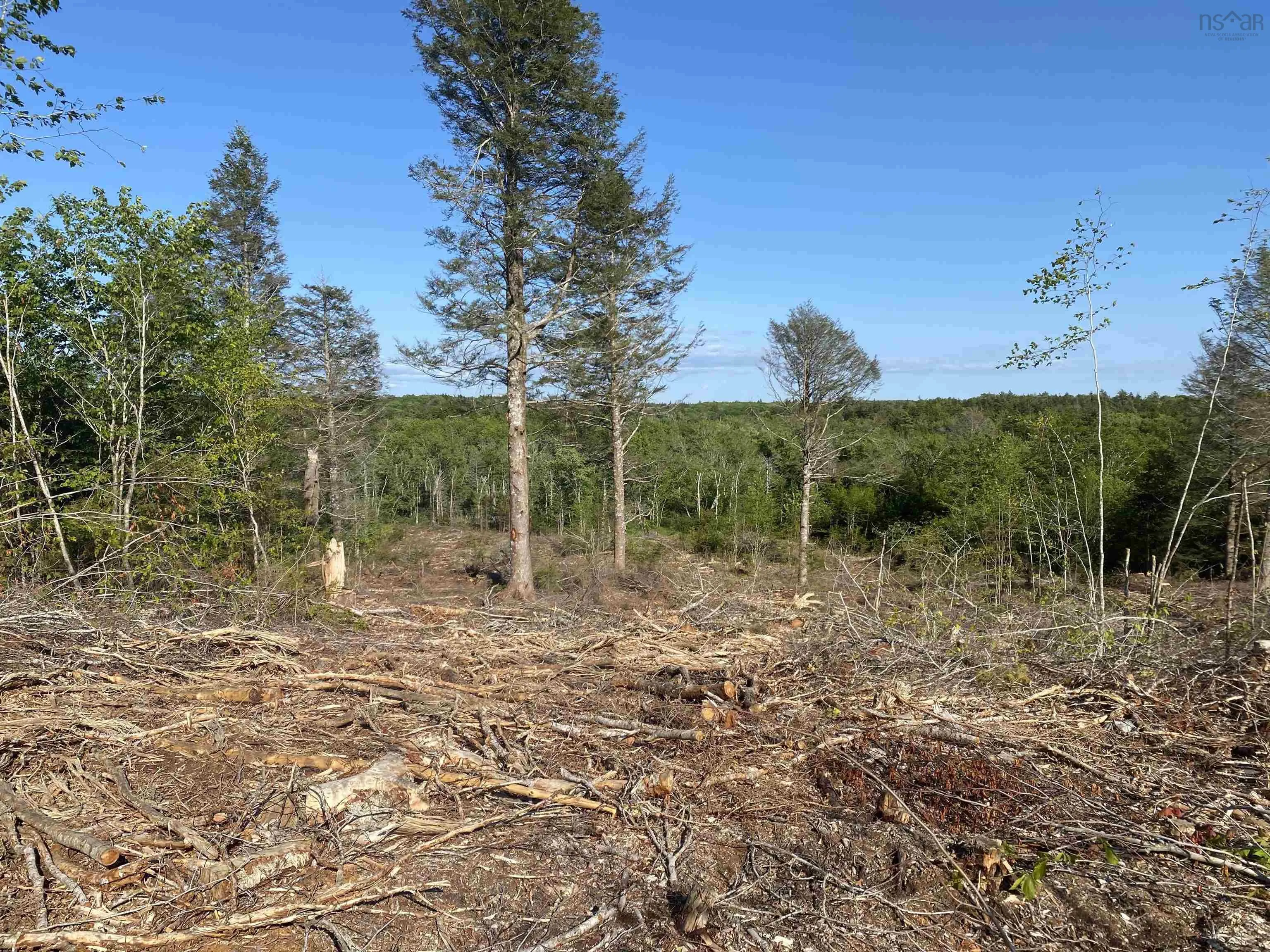 Bull Lake Road, Concession Ns B0w 1m0, ,Land,For Sale,Bull Lake,202500521