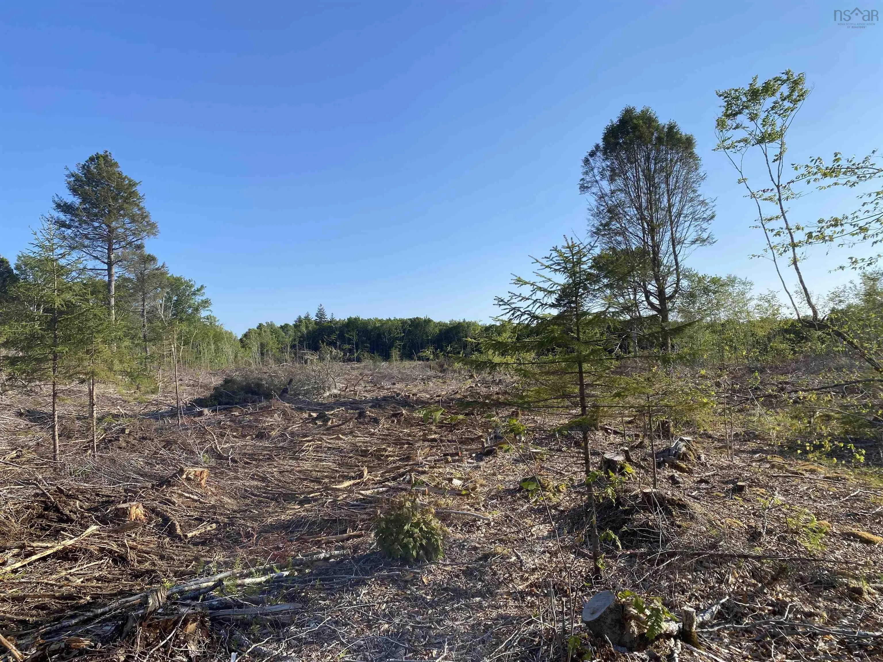 Bull Lake Road, Concession Ns B0w 1m0, ,Land,For Sale,Bull Lake,202500521