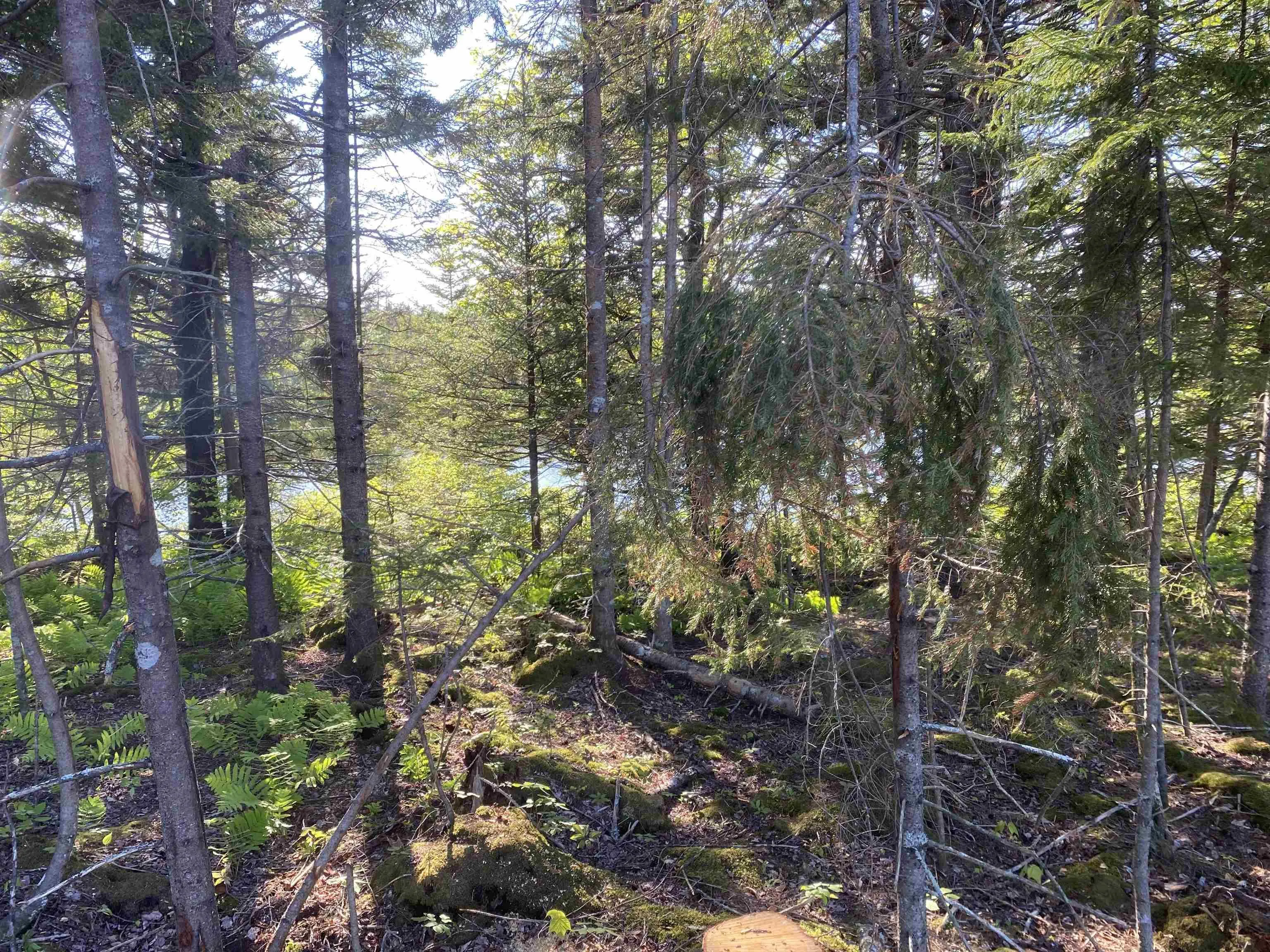 Bull Lake Road, Concession Ns B0w 1m0, ,Land,For Sale,Bull Lake,202500521