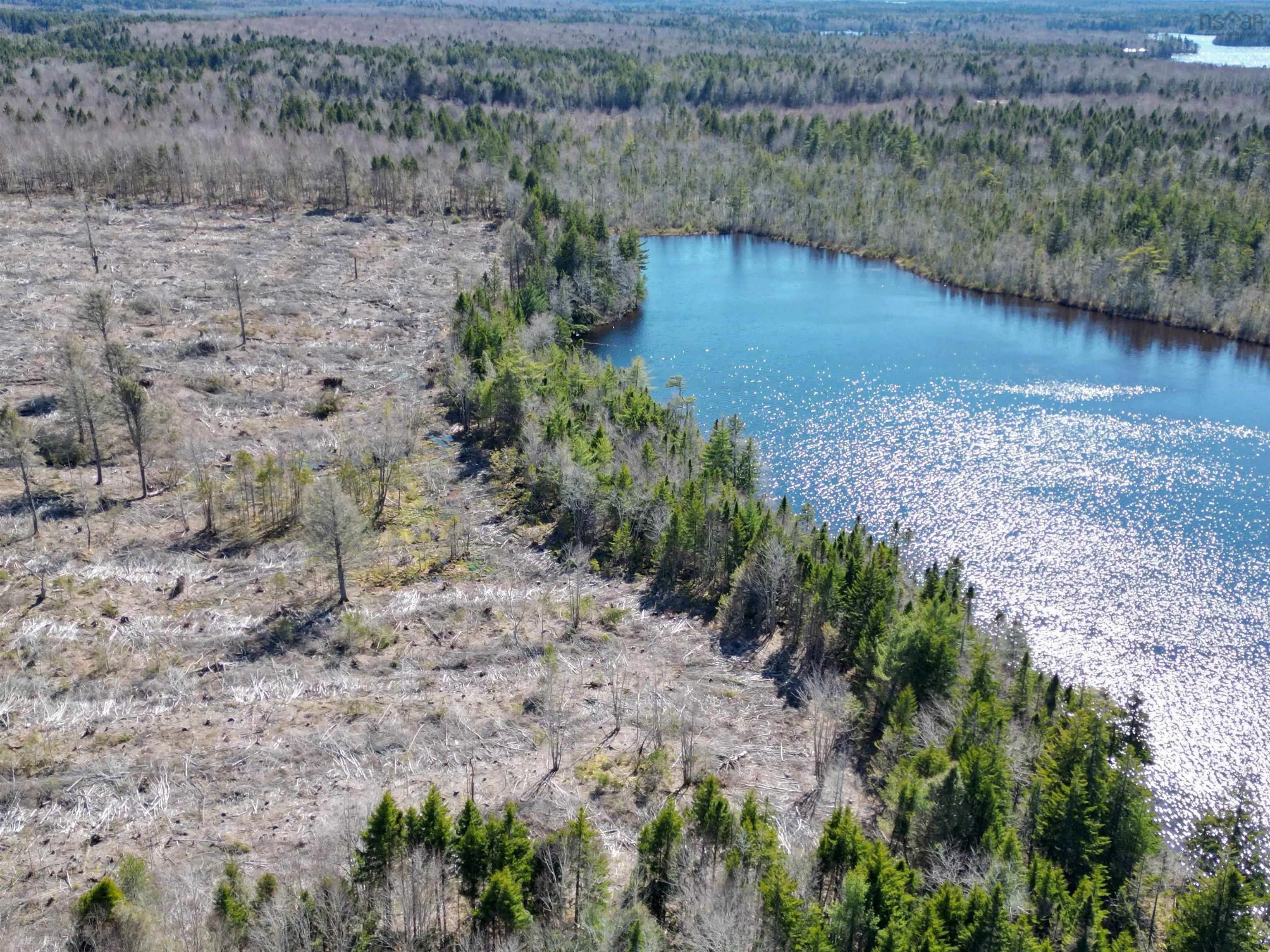 Bull Lake Road, Concession Ns B0w 1m0, ,Land,For Sale,Bull Lake,202500521