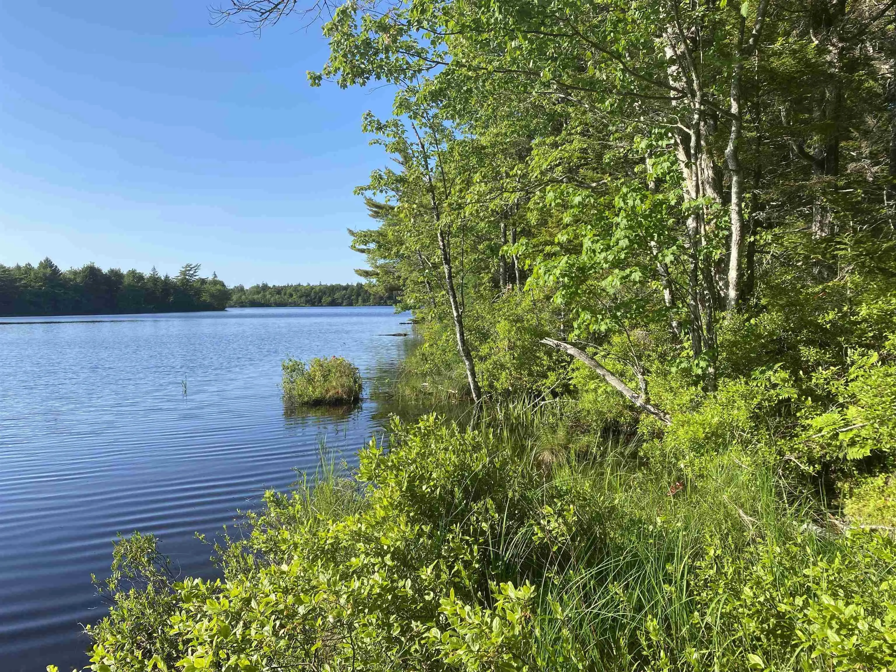 Bull Lake Road, Concession Ns B0w 1m0, ,Land,For Sale,Bull Lake,202500521