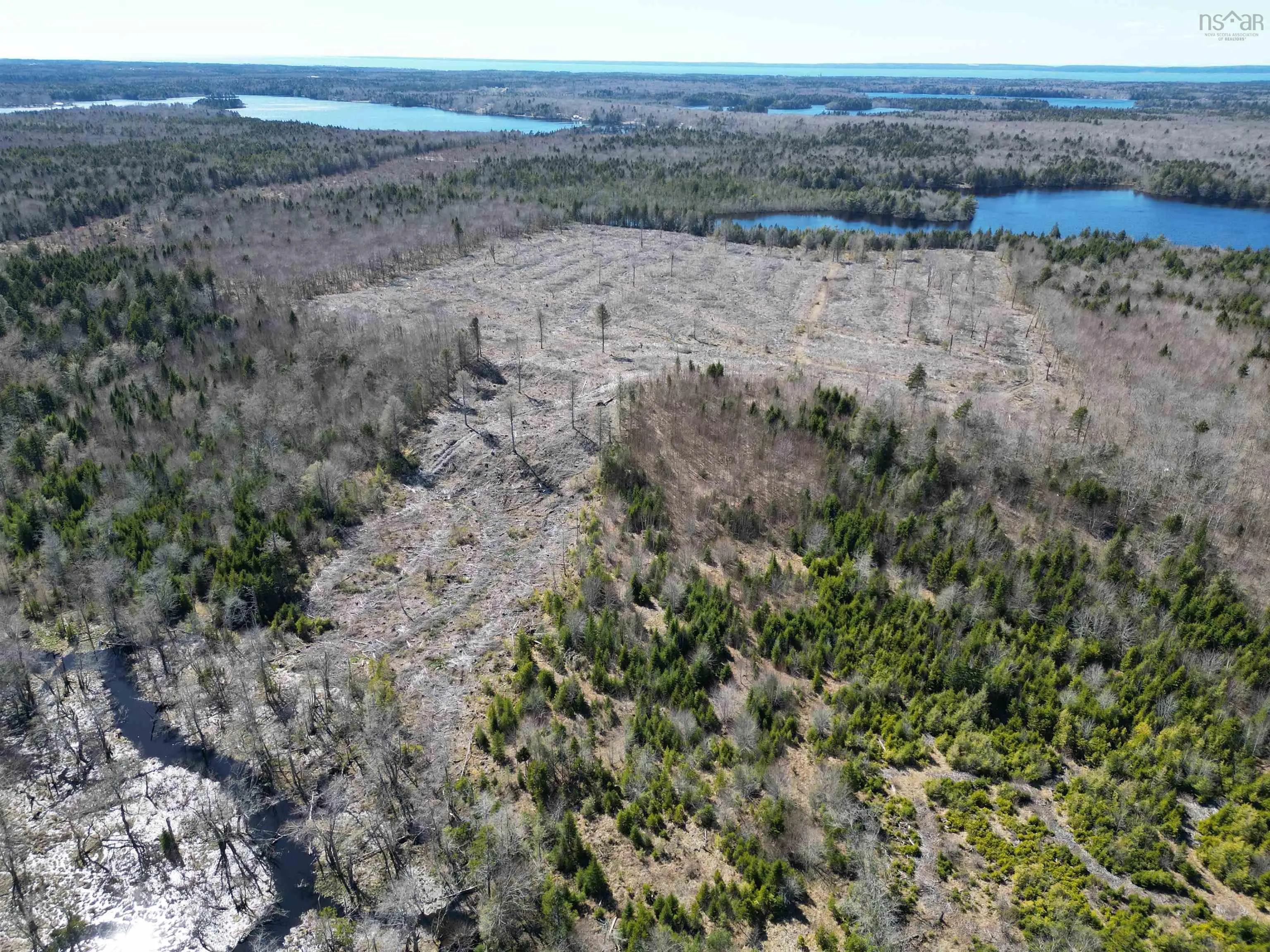 Bull Lake Road, Concession Ns B0w 1m0, ,Land,For Sale,Bull Lake,202500521