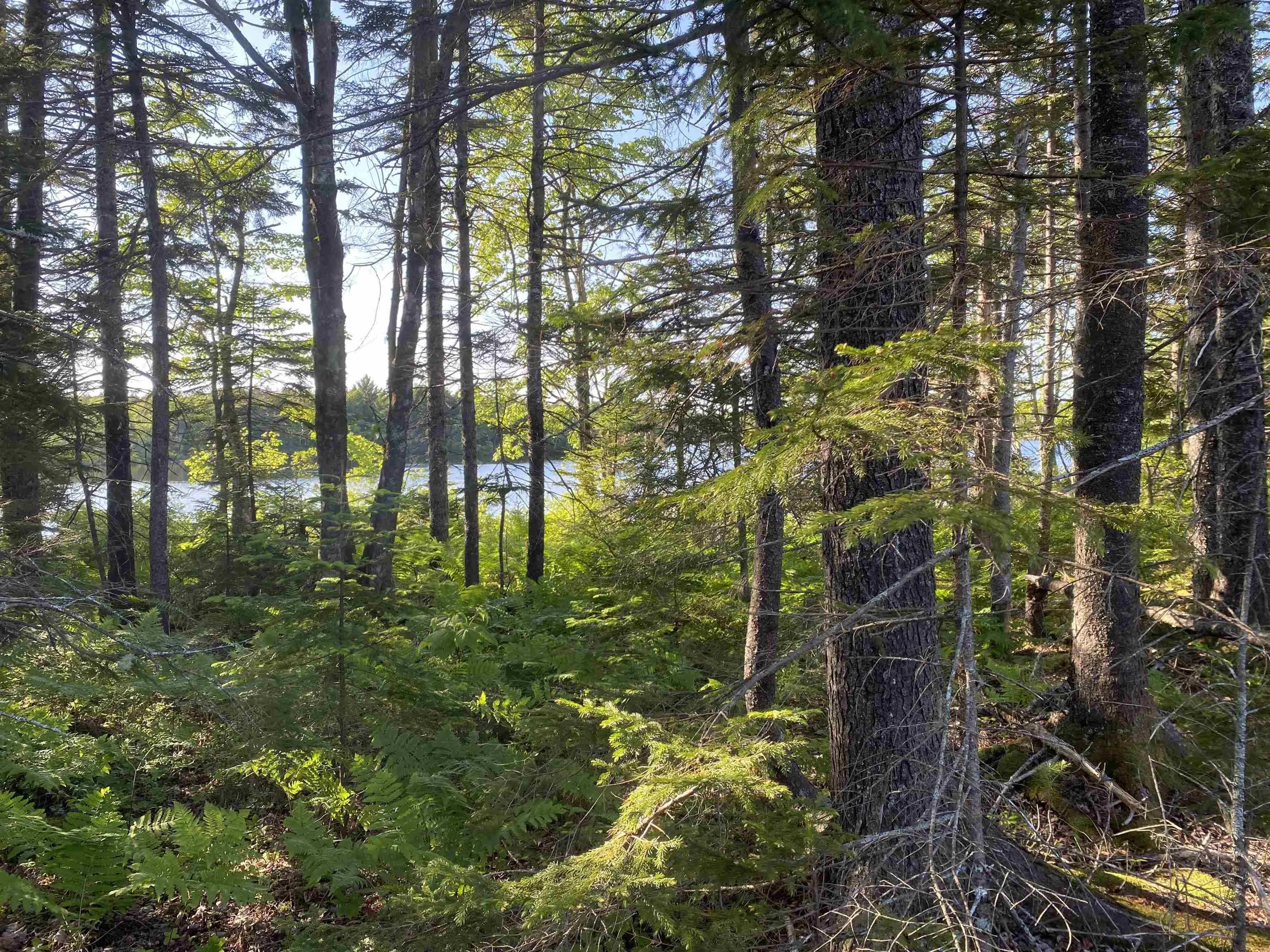Bull Lake Road, Concession Ns B0w 1m0, ,Land,For Sale,Bull Lake,202500521